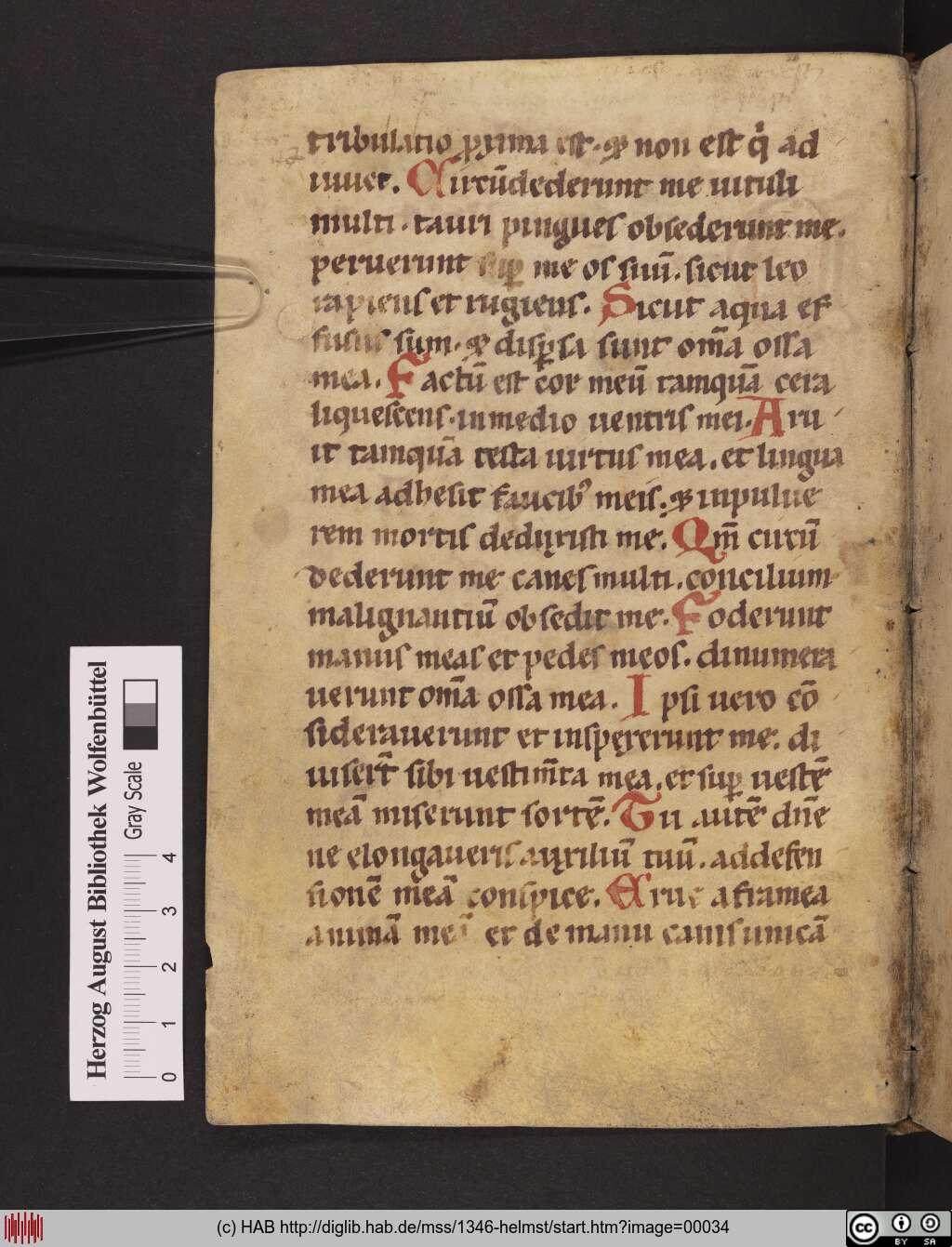 http://diglib.hab.de/mss/1346-helmst/00034.jpg