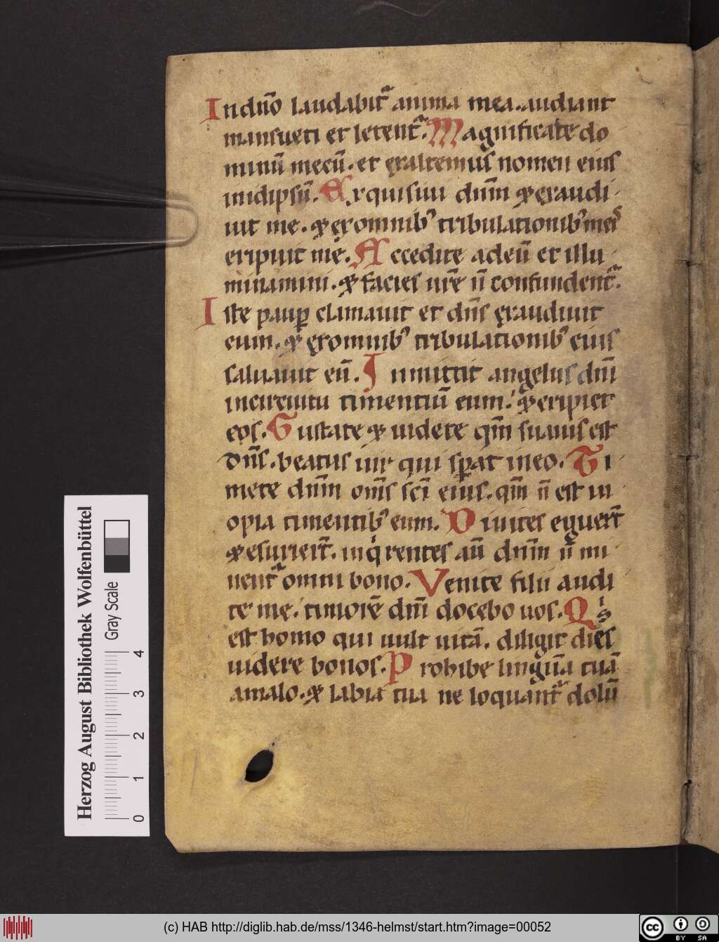 http://diglib.hab.de/mss/1346-helmst/00052.jpg