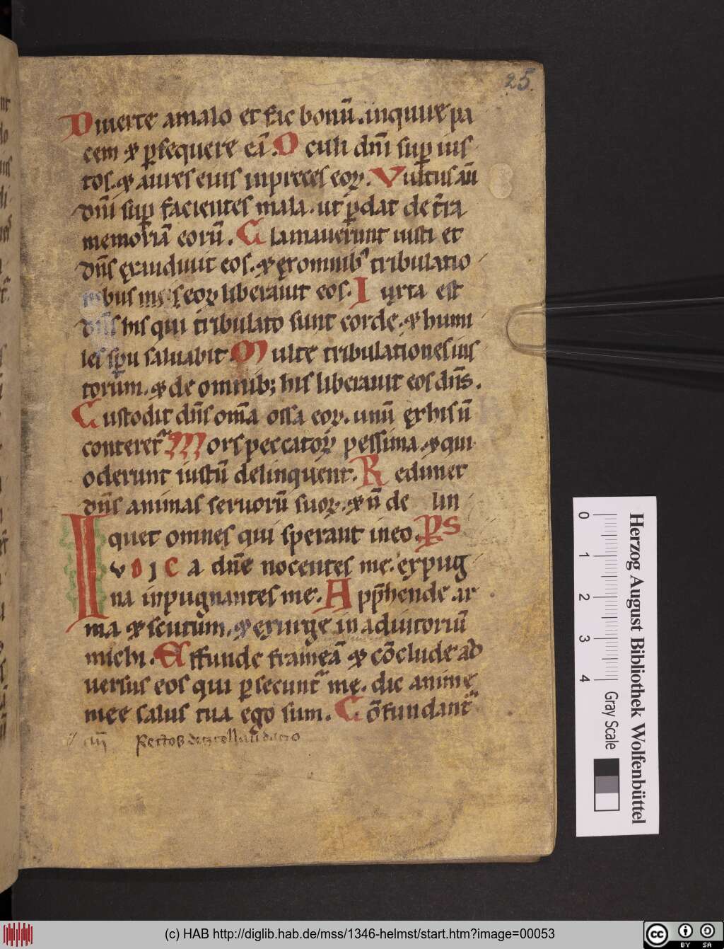 http://diglib.hab.de/mss/1346-helmst/00053.jpg