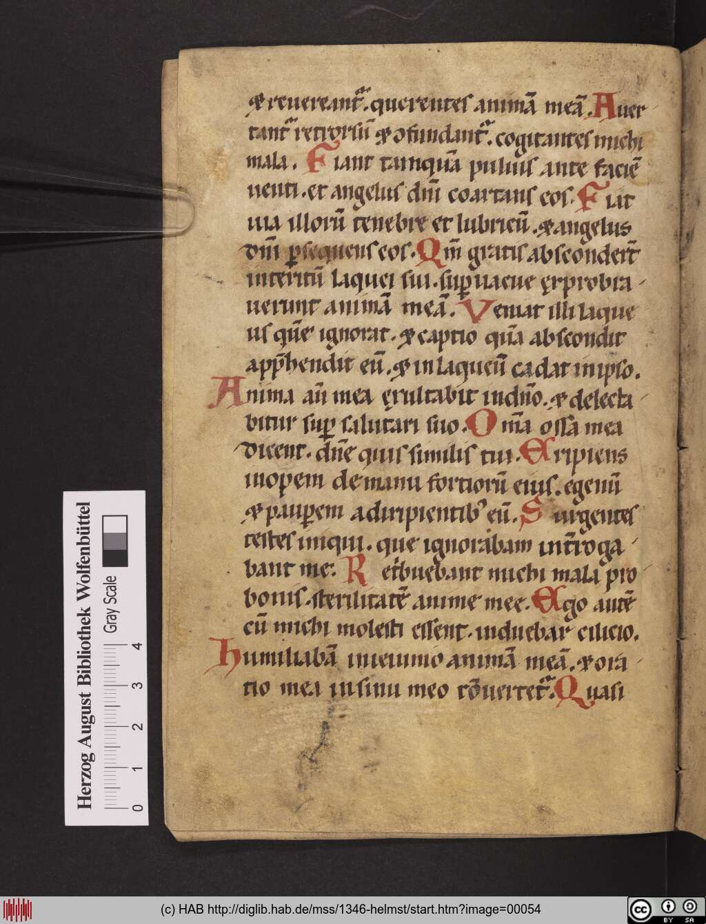 http://diglib.hab.de/mss/1346-helmst/00054.jpg