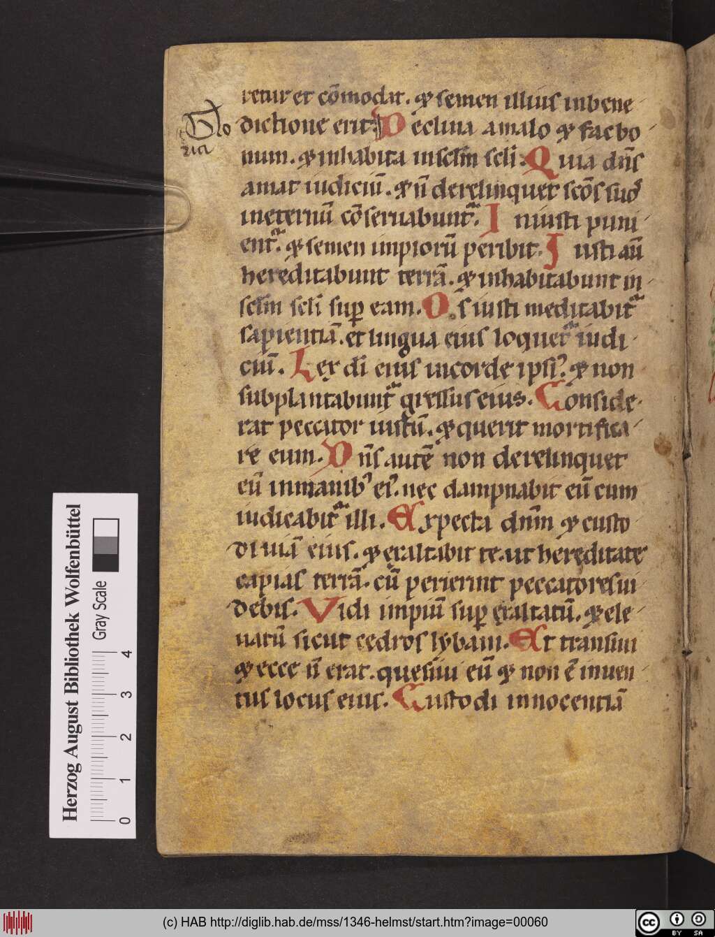 http://diglib.hab.de/mss/1346-helmst/00060.jpg