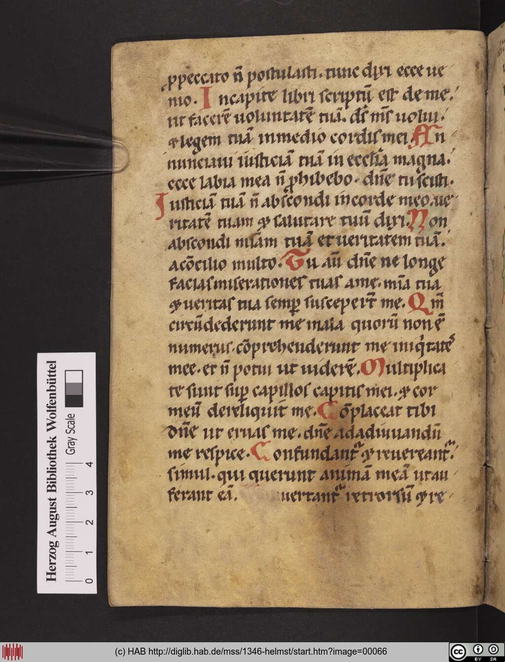 http://diglib.hab.de/mss/1346-helmst/00066.jpg