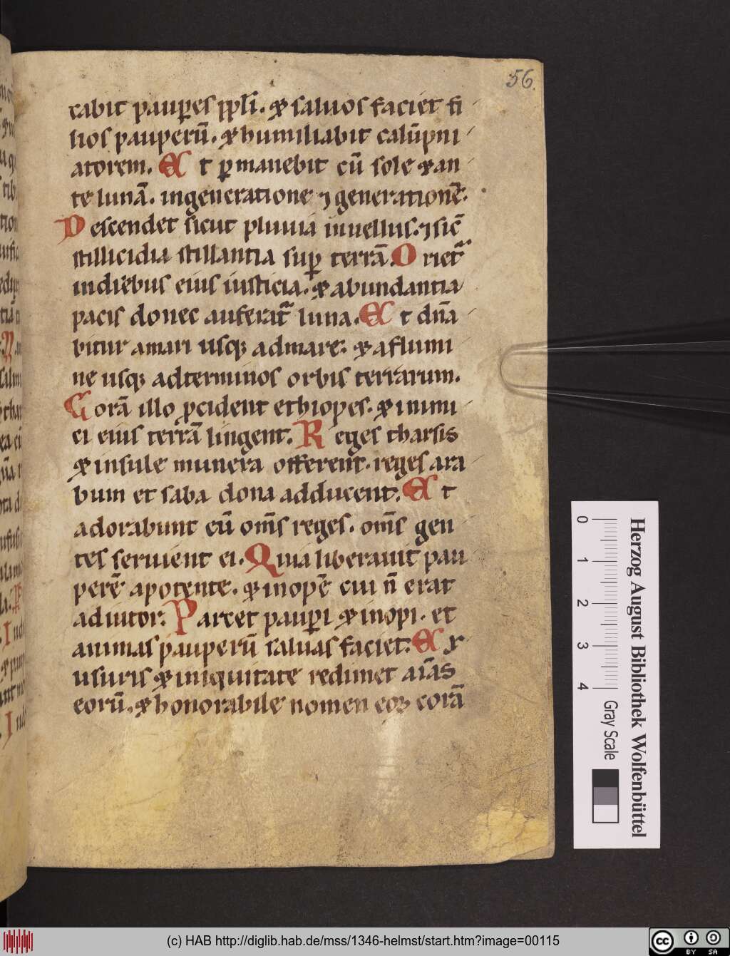 http://diglib.hab.de/mss/1346-helmst/00115.jpg