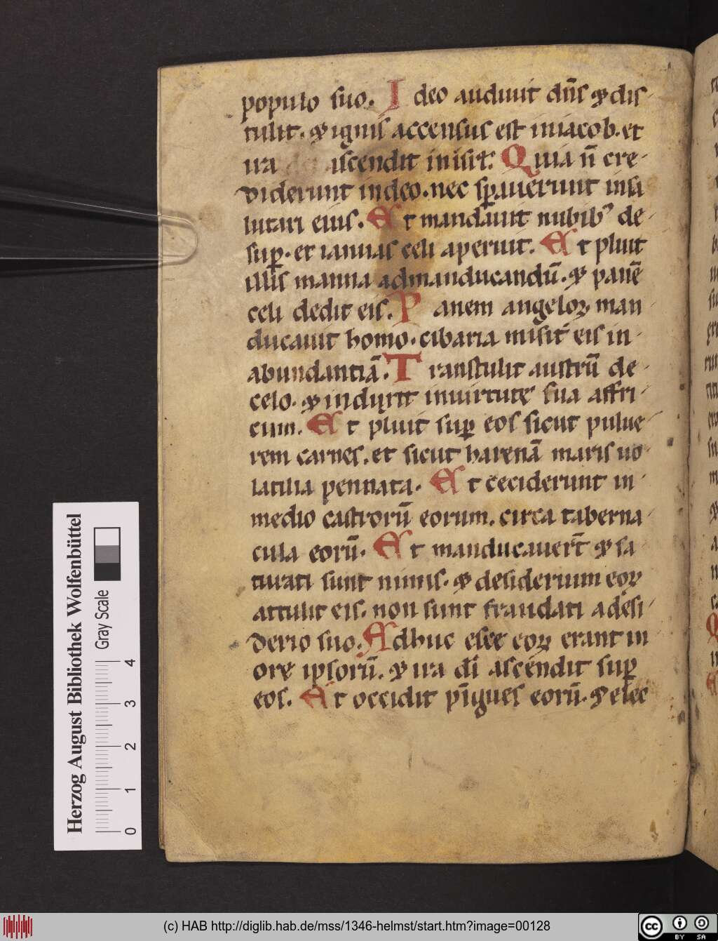 http://diglib.hab.de/mss/1346-helmst/00128.jpg