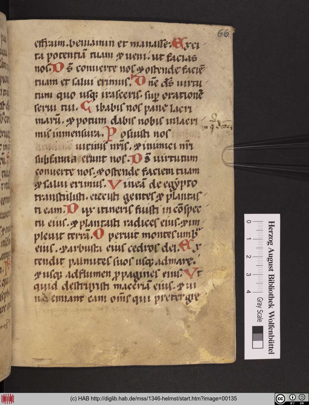 http://diglib.hab.de/mss/1346-helmst/00135.jpg