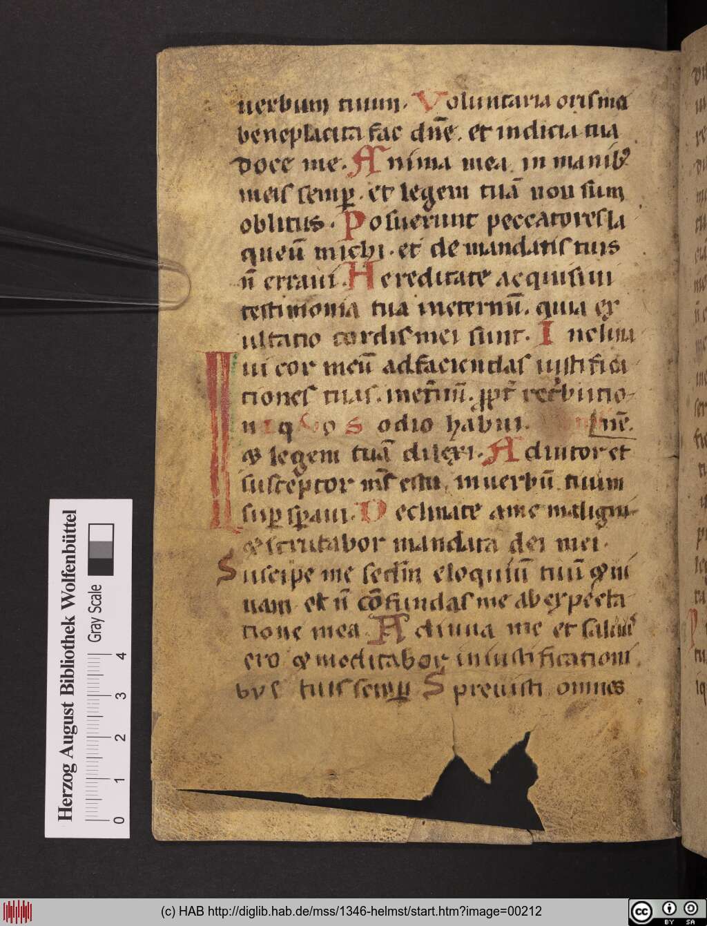 http://diglib.hab.de/mss/1346-helmst/00212.jpg