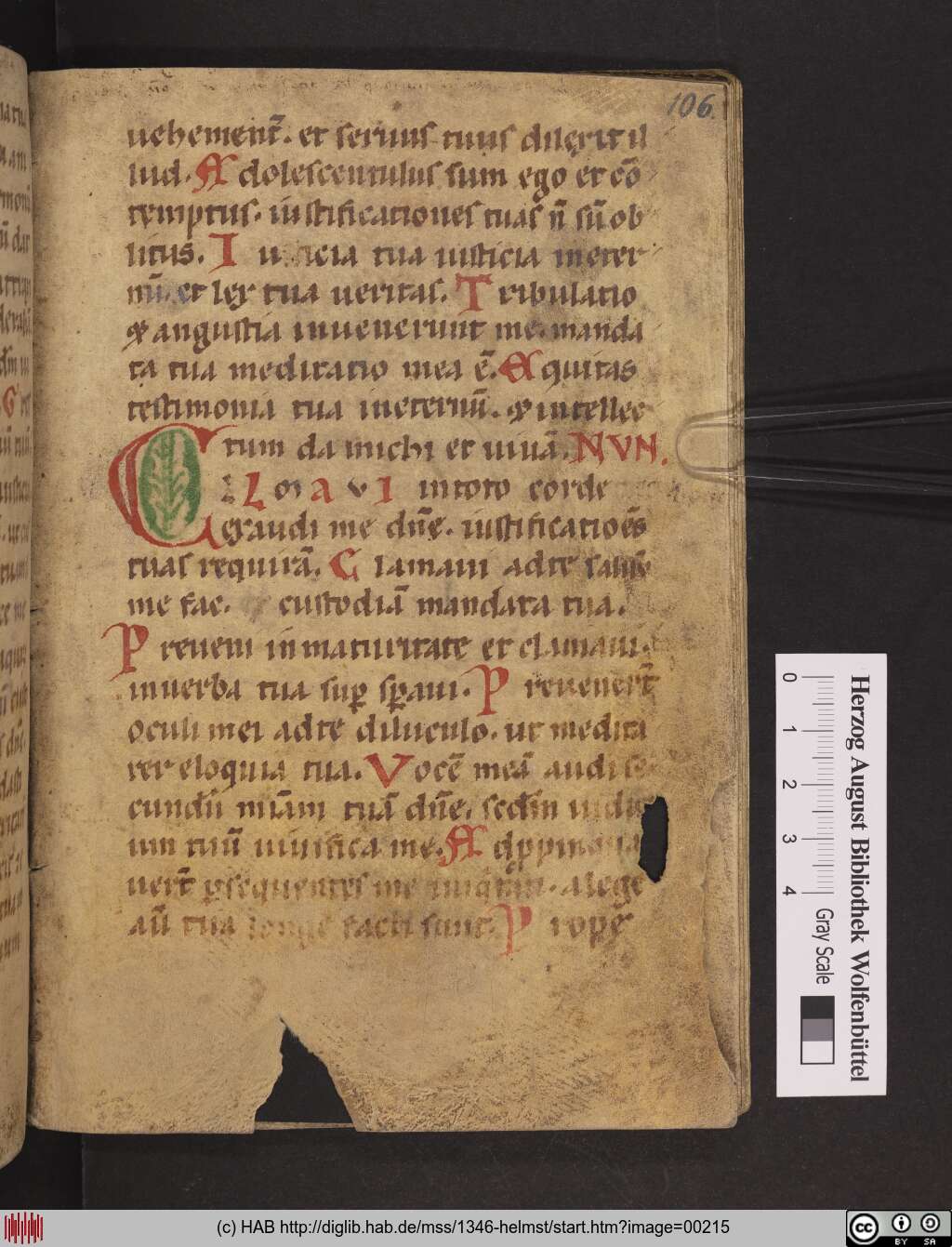 http://diglib.hab.de/mss/1346-helmst/00215.jpg