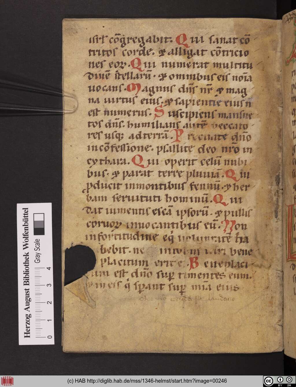 http://diglib.hab.de/mss/1346-helmst/00246.jpg