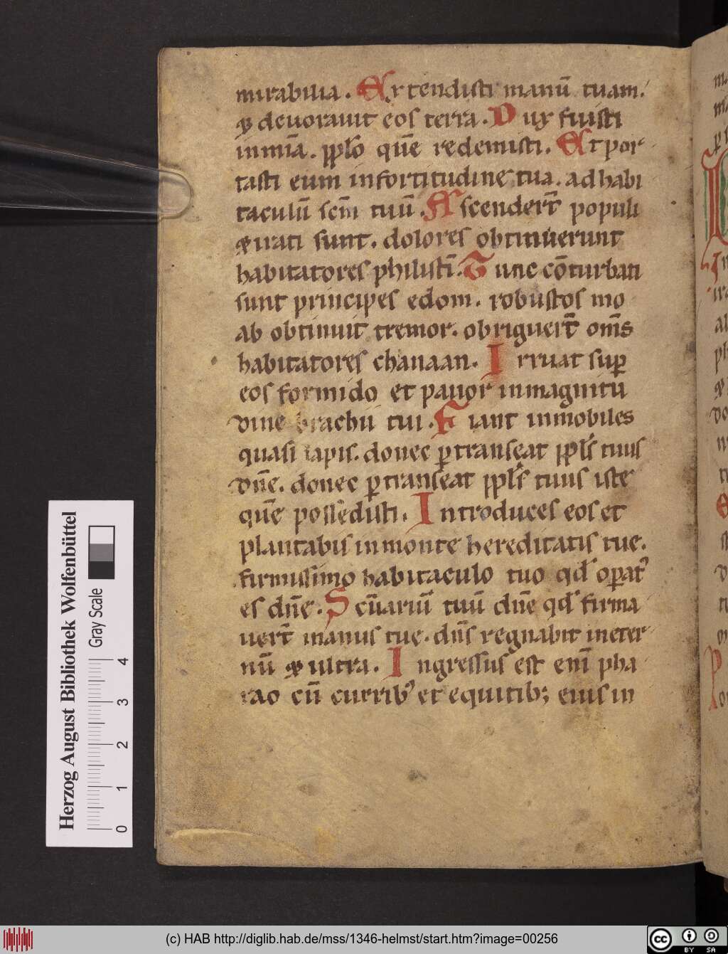 http://diglib.hab.de/mss/1346-helmst/00256.jpg