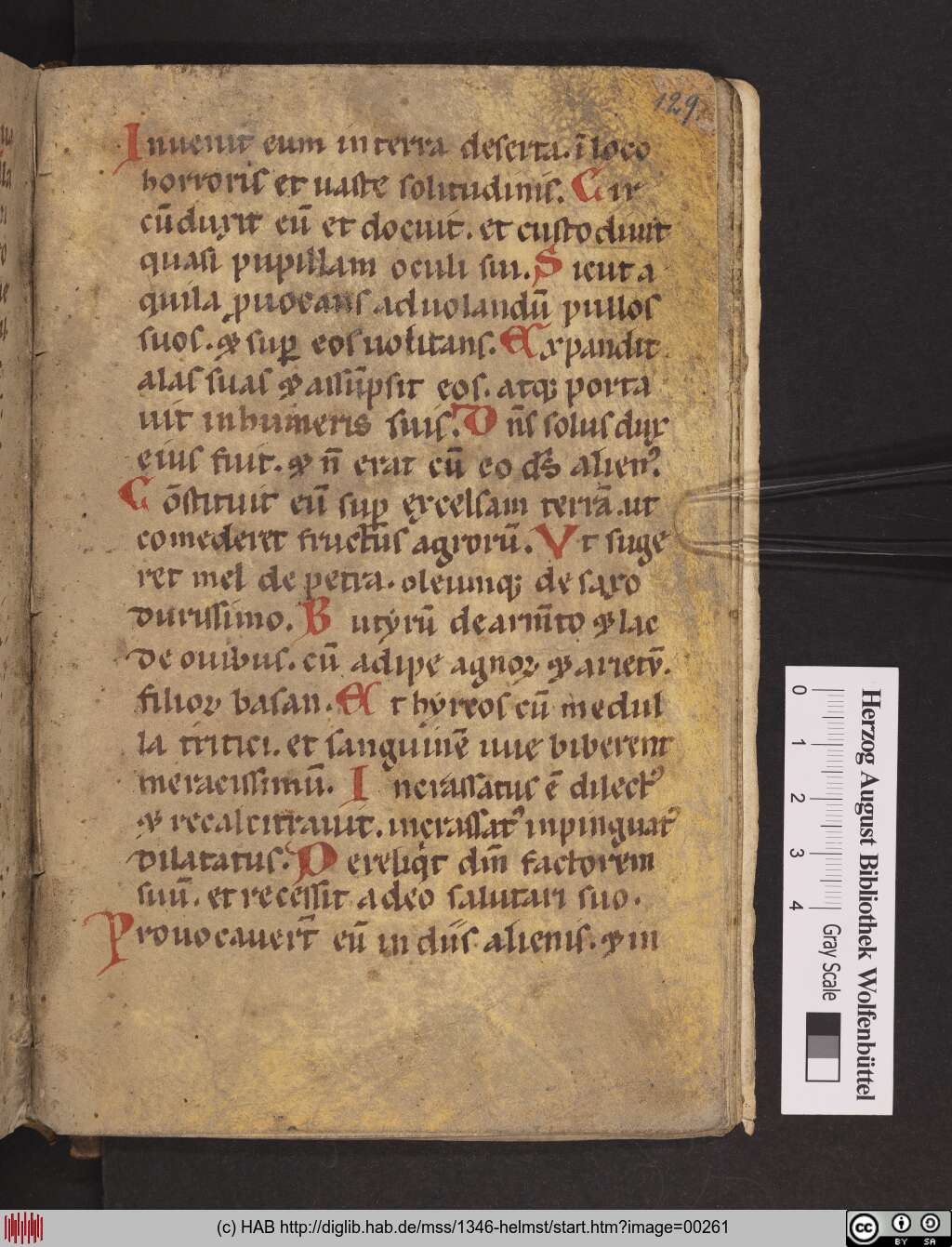 http://diglib.hab.de/mss/1346-helmst/00261.jpg