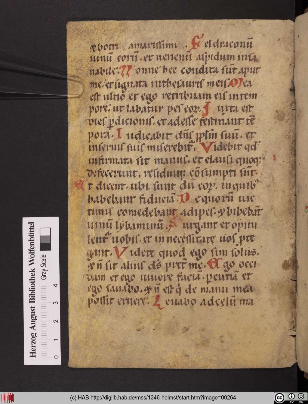 http://diglib.hab.de/mss/1346-helmst/00264.jpg