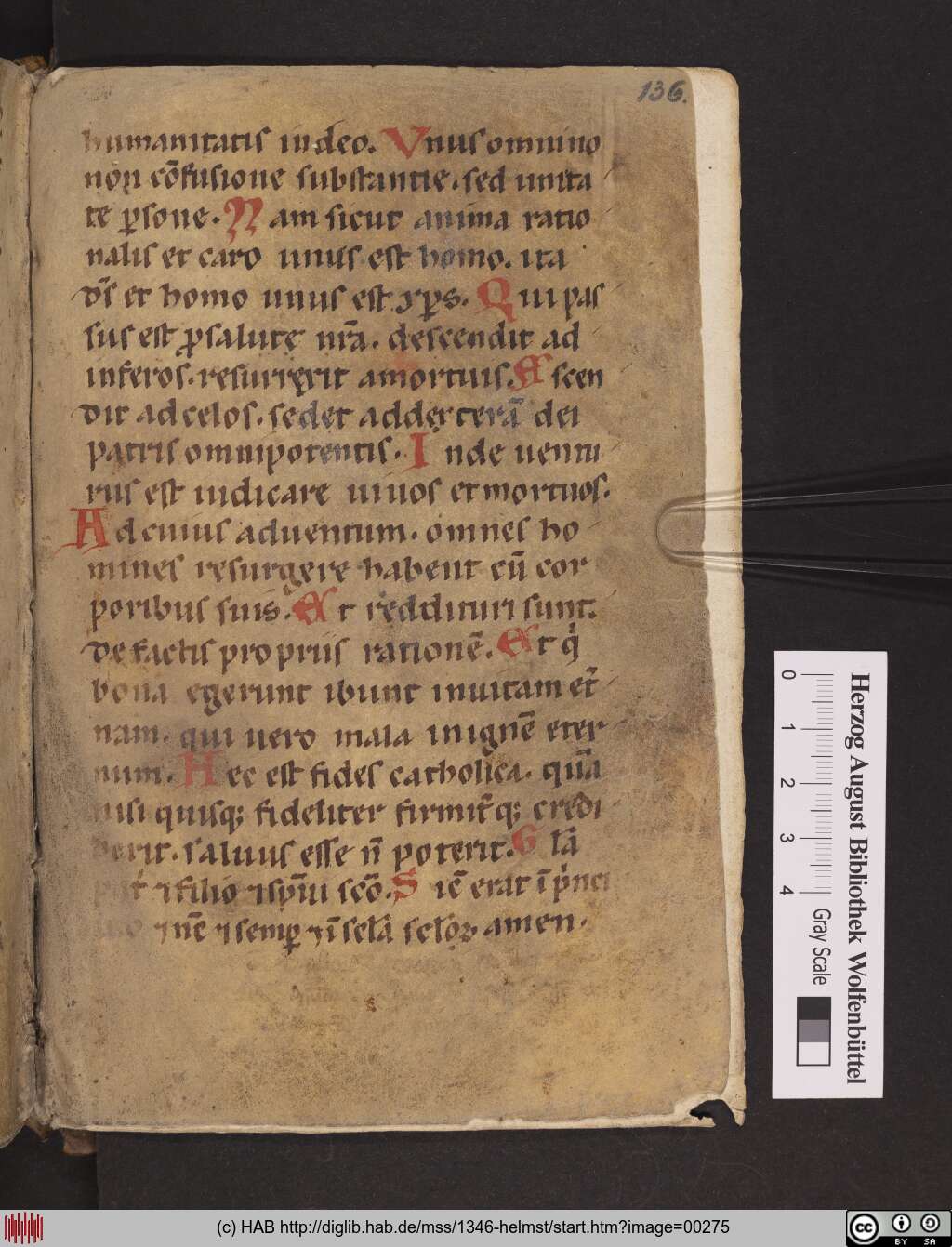 http://diglib.hab.de/mss/1346-helmst/00275.jpg