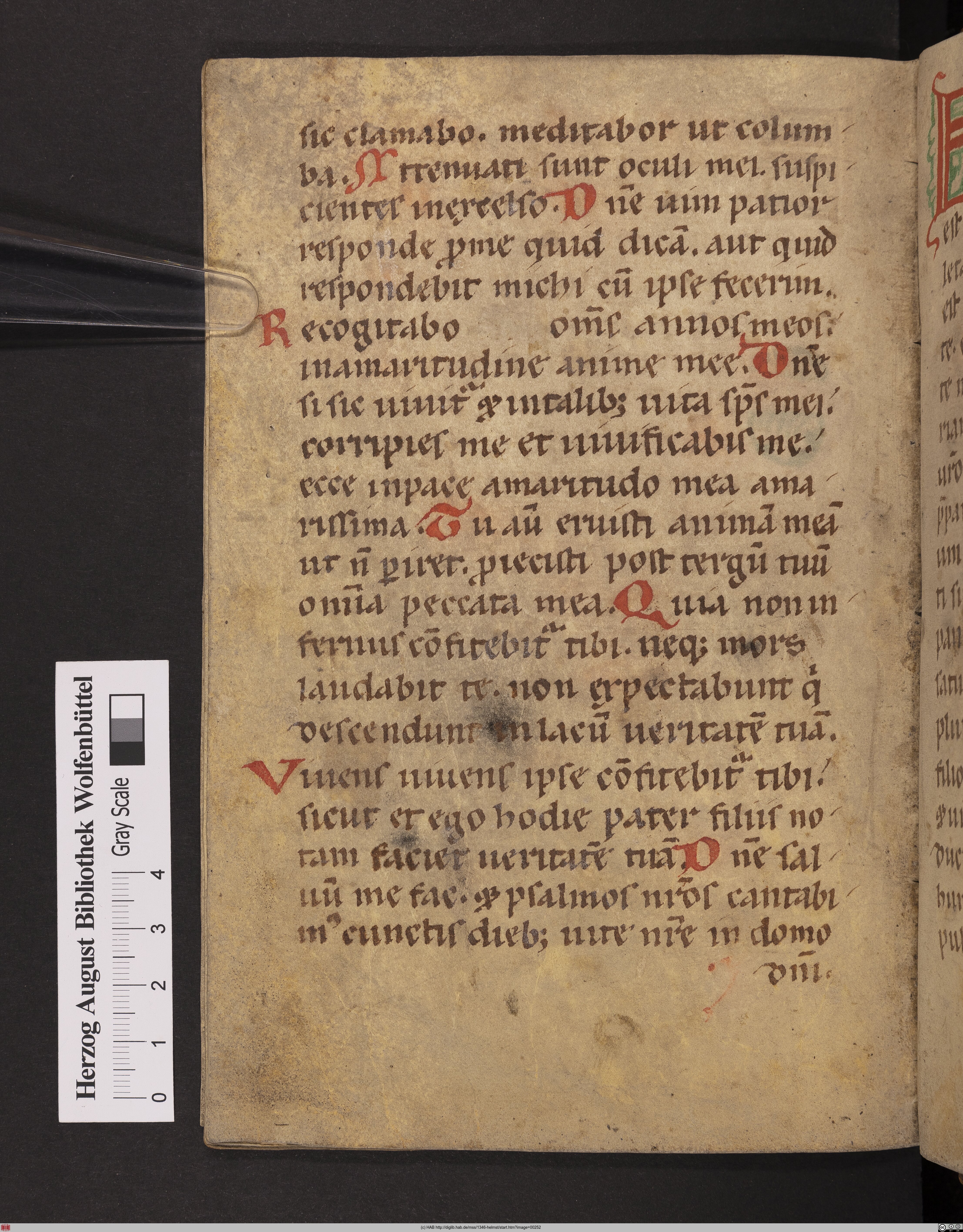 http://diglib.hab.de/mss/1346-helmst/max/00252.jpg