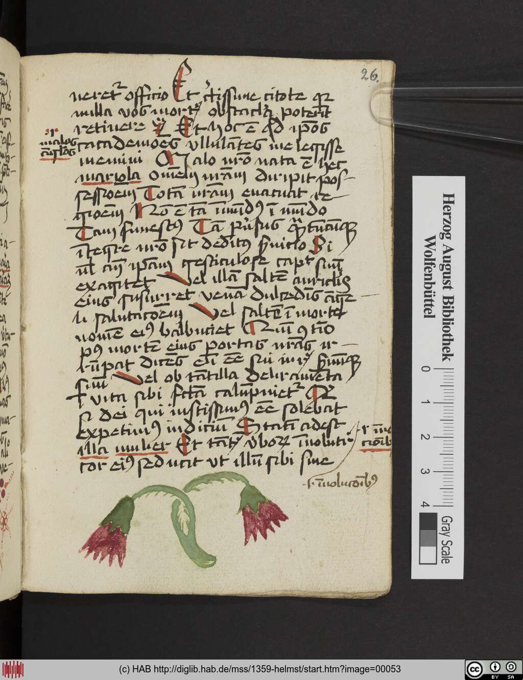 http://diglib.hab.de/mss/1359-helmst/00053.jpg