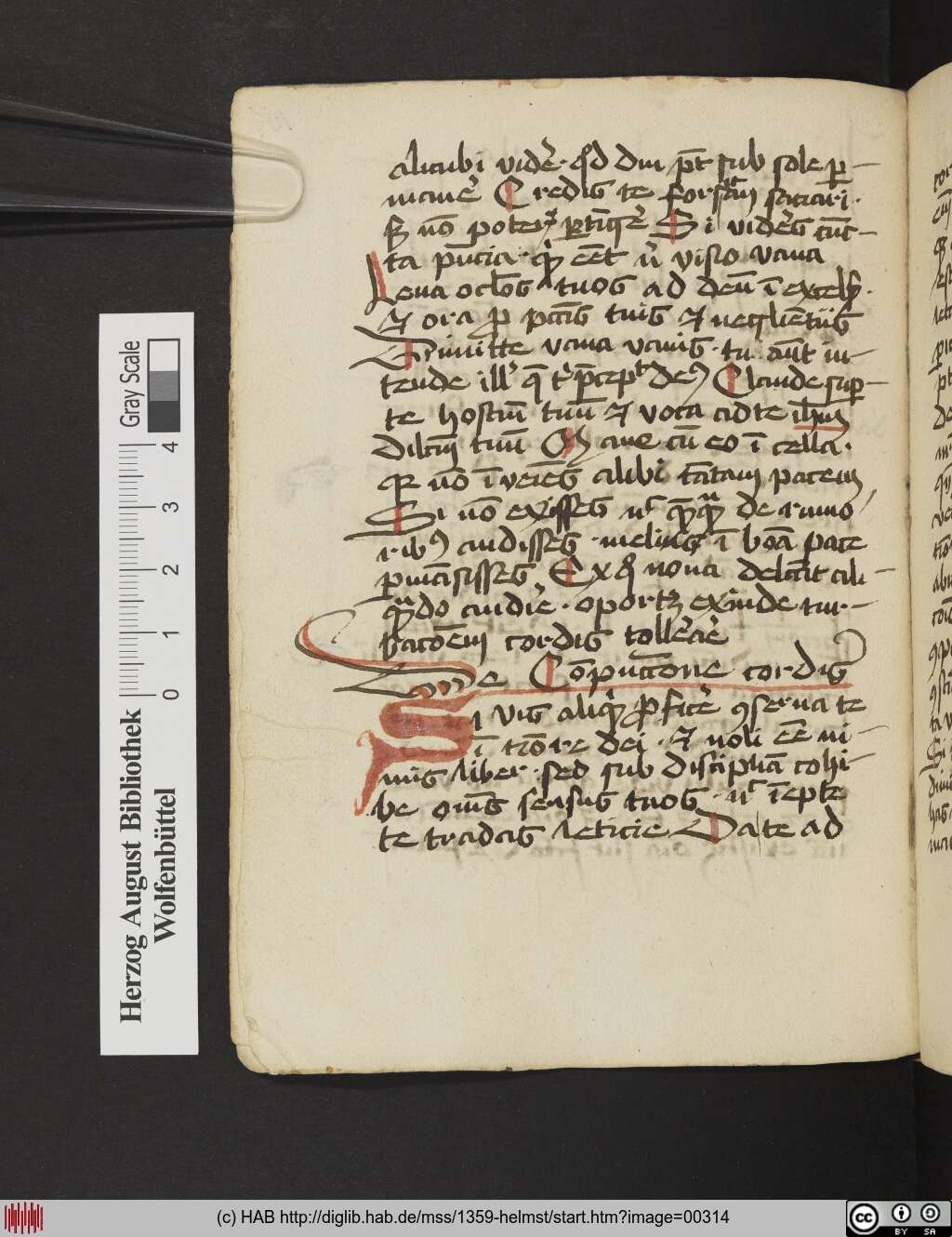 http://diglib.hab.de/mss/1359-helmst/00314.jpg