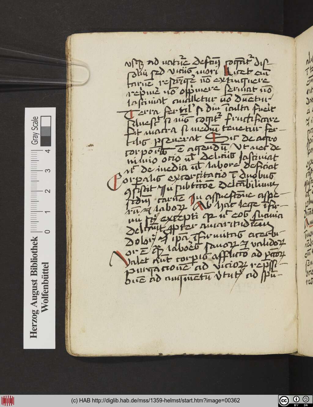 http://diglib.hab.de/mss/1359-helmst/00362.jpg