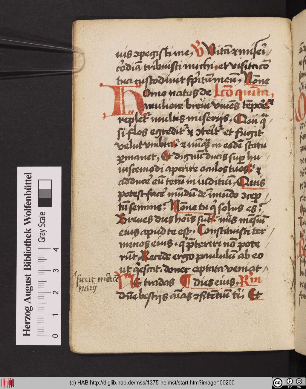 http://diglib.hab.de/mss/1375-helmst/00200.jpg