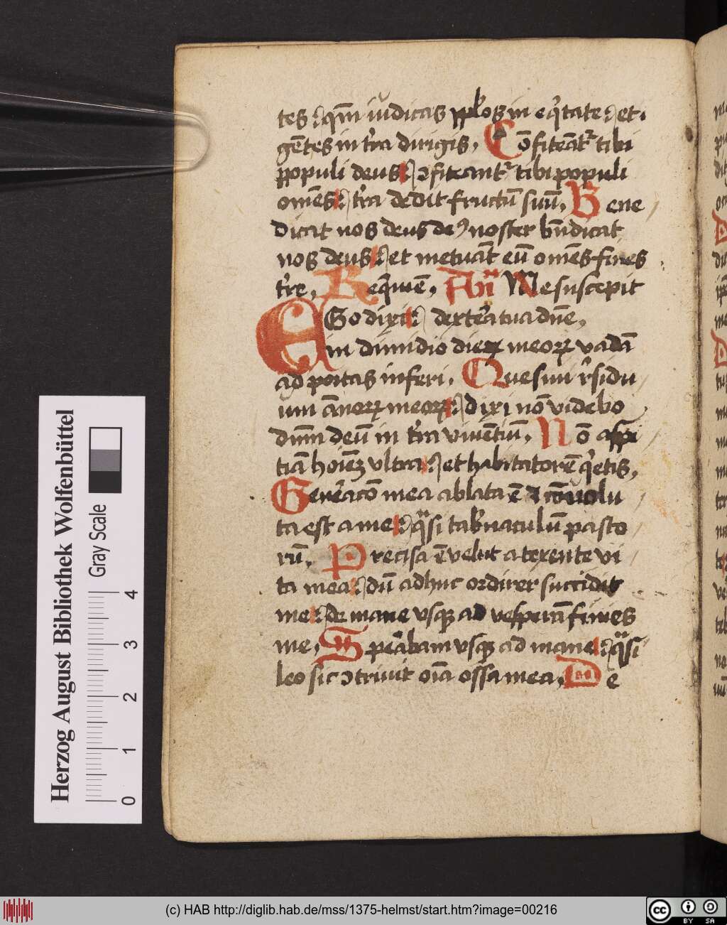 http://diglib.hab.de/mss/1375-helmst/00216.jpg