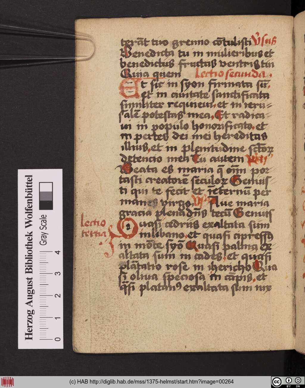 http://diglib.hab.de/mss/1375-helmst/00264.jpg