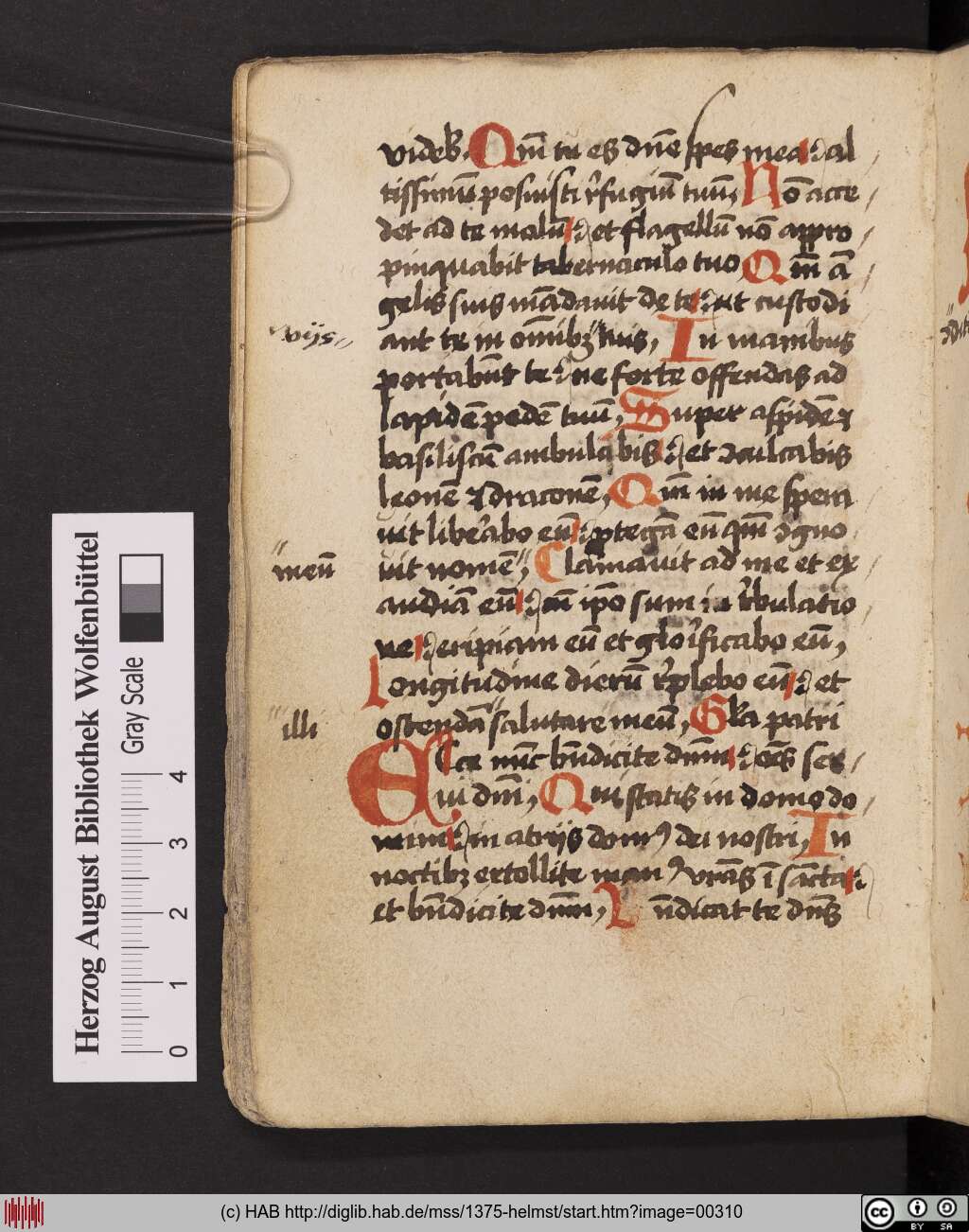 http://diglib.hab.de/mss/1375-helmst/00310.jpg