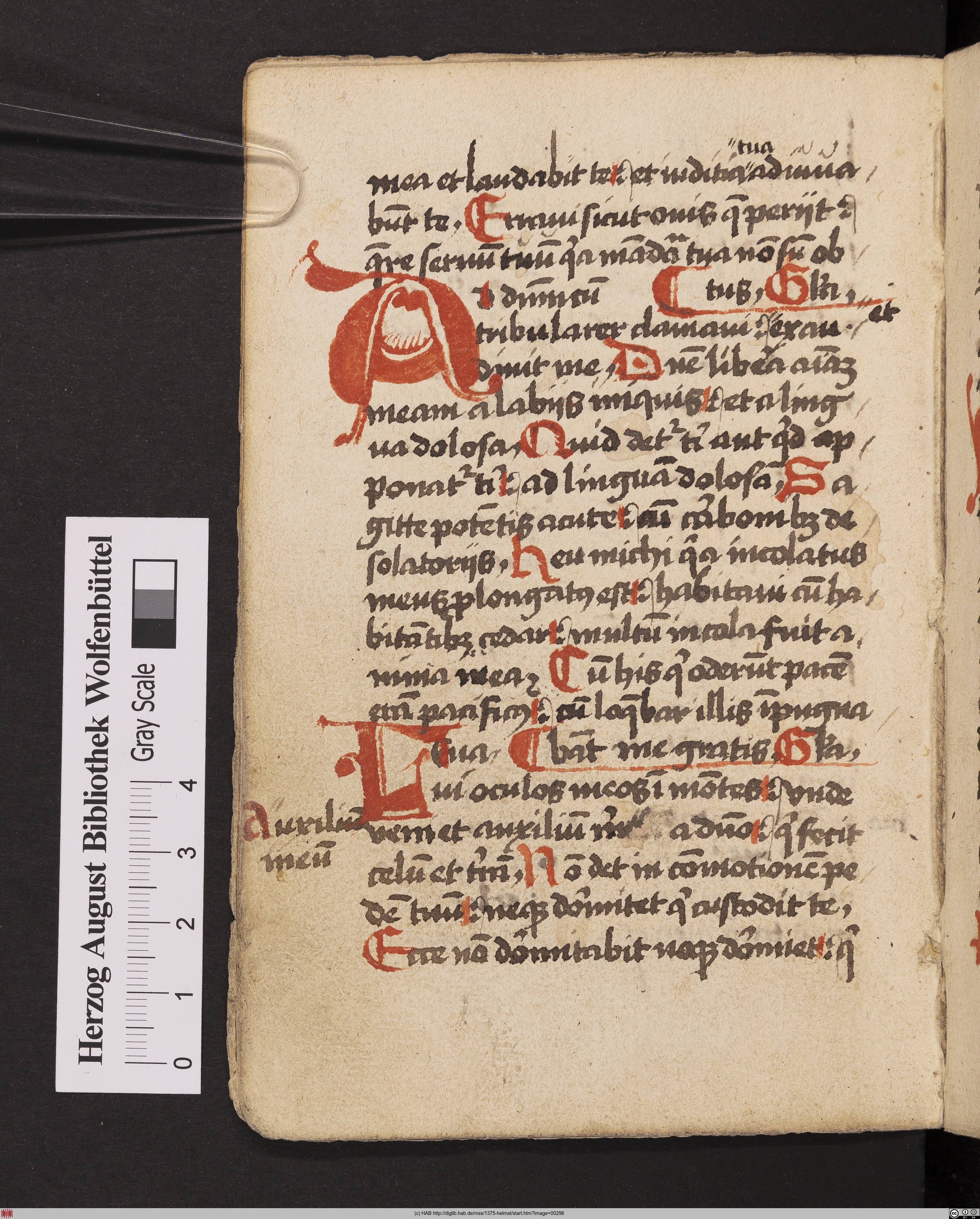 http://diglib.hab.de/mss/1375-helmst/max/00296.jpg