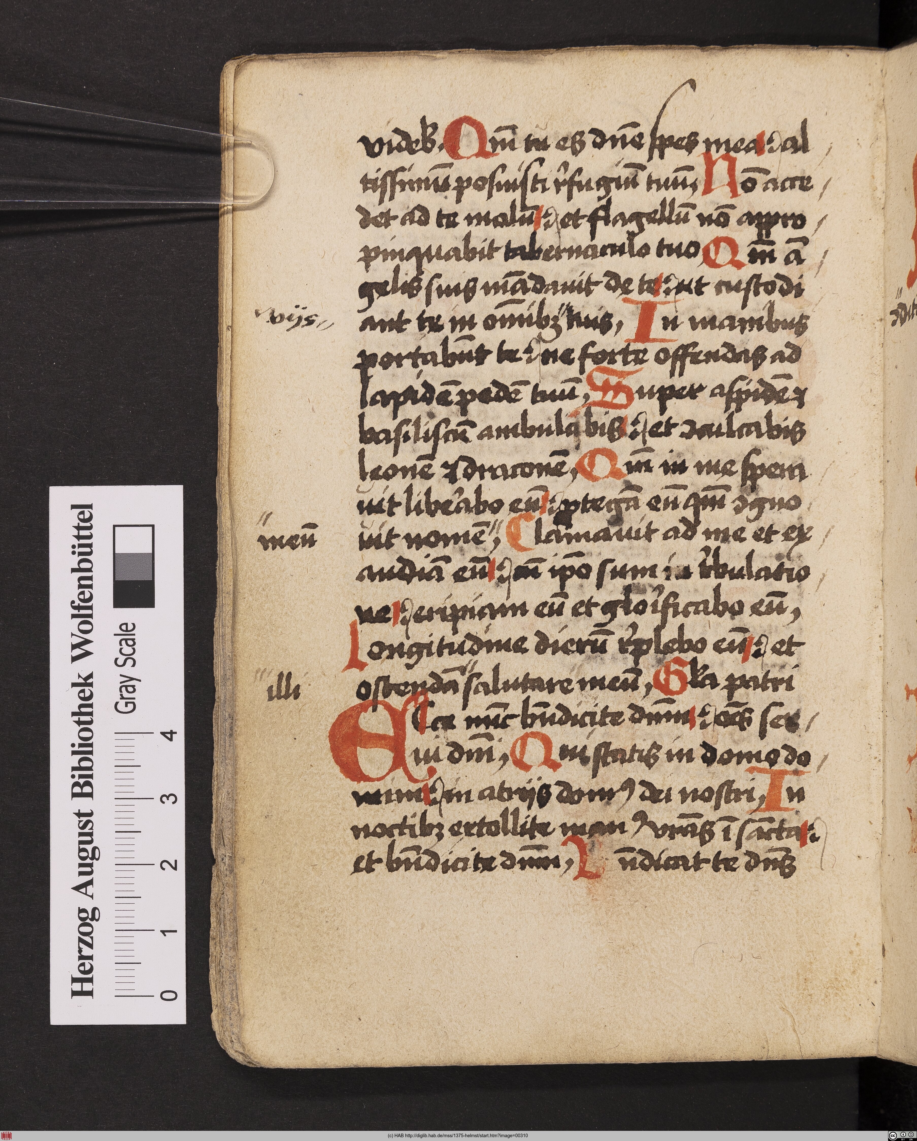 http://diglib.hab.de/mss/1375-helmst/max/00310.jpg