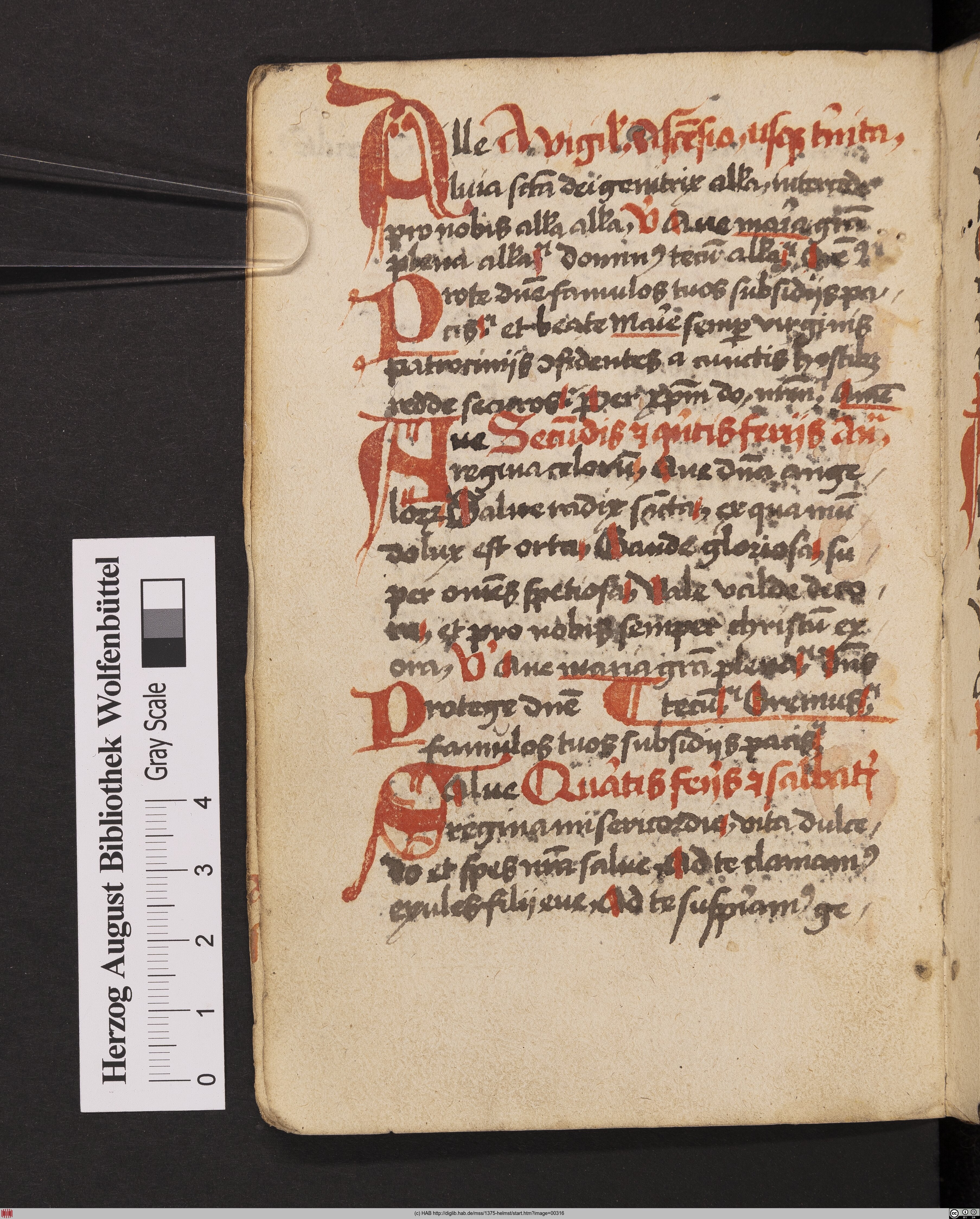 http://diglib.hab.de/mss/1375-helmst/max/00316.jpg