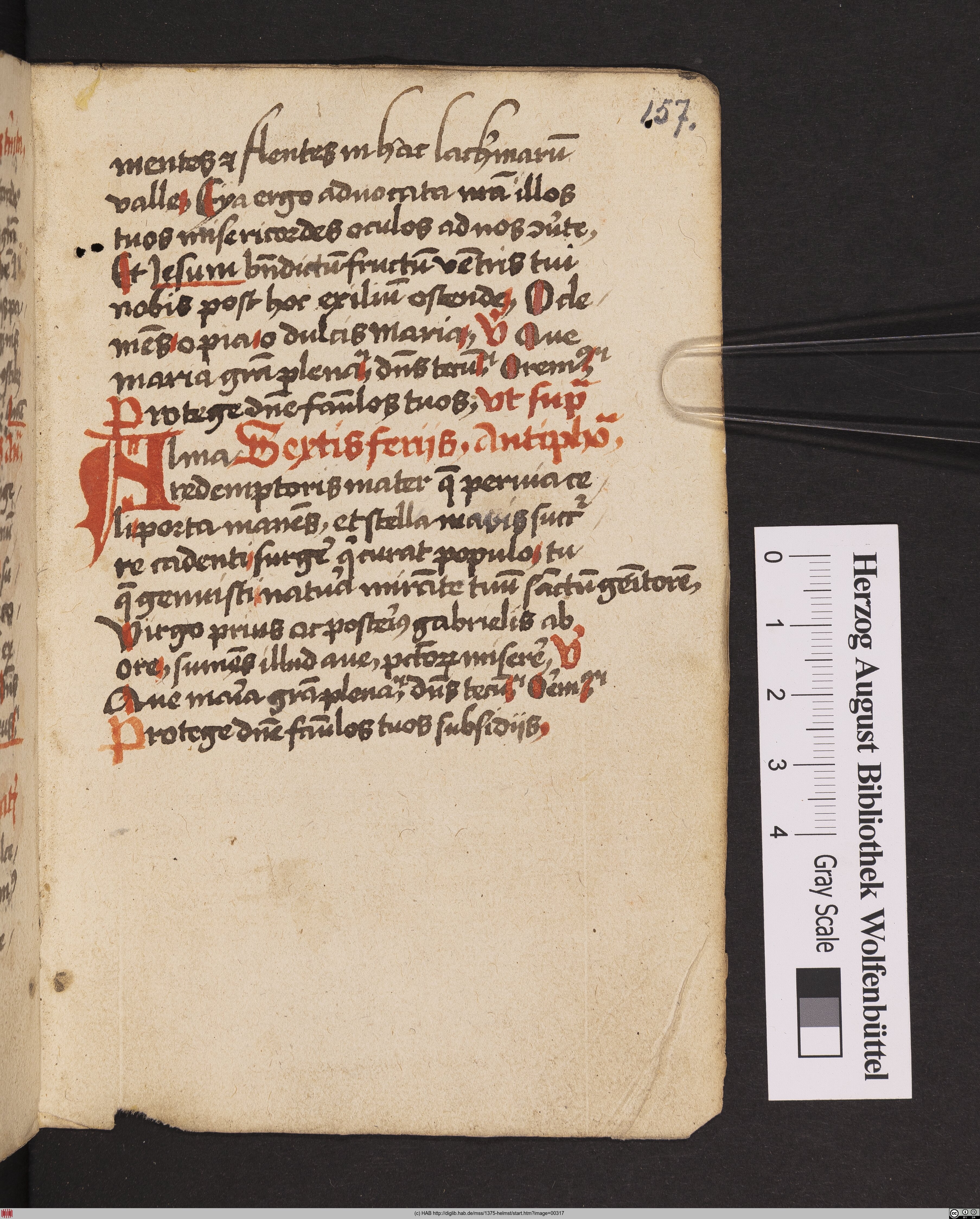http://diglib.hab.de/mss/1375-helmst/max/00317.jpg