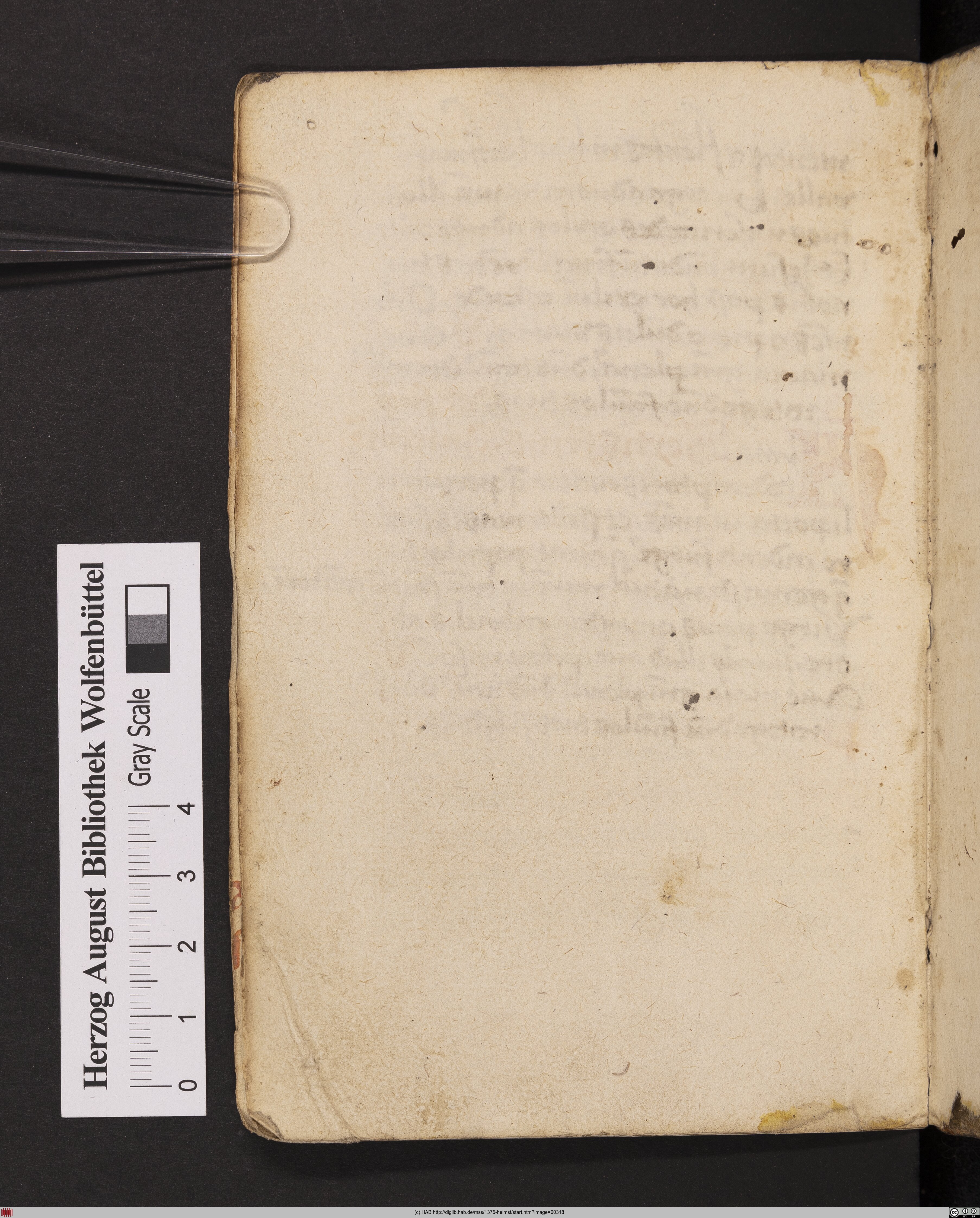 http://diglib.hab.de/mss/1375-helmst/max/00318.jpg