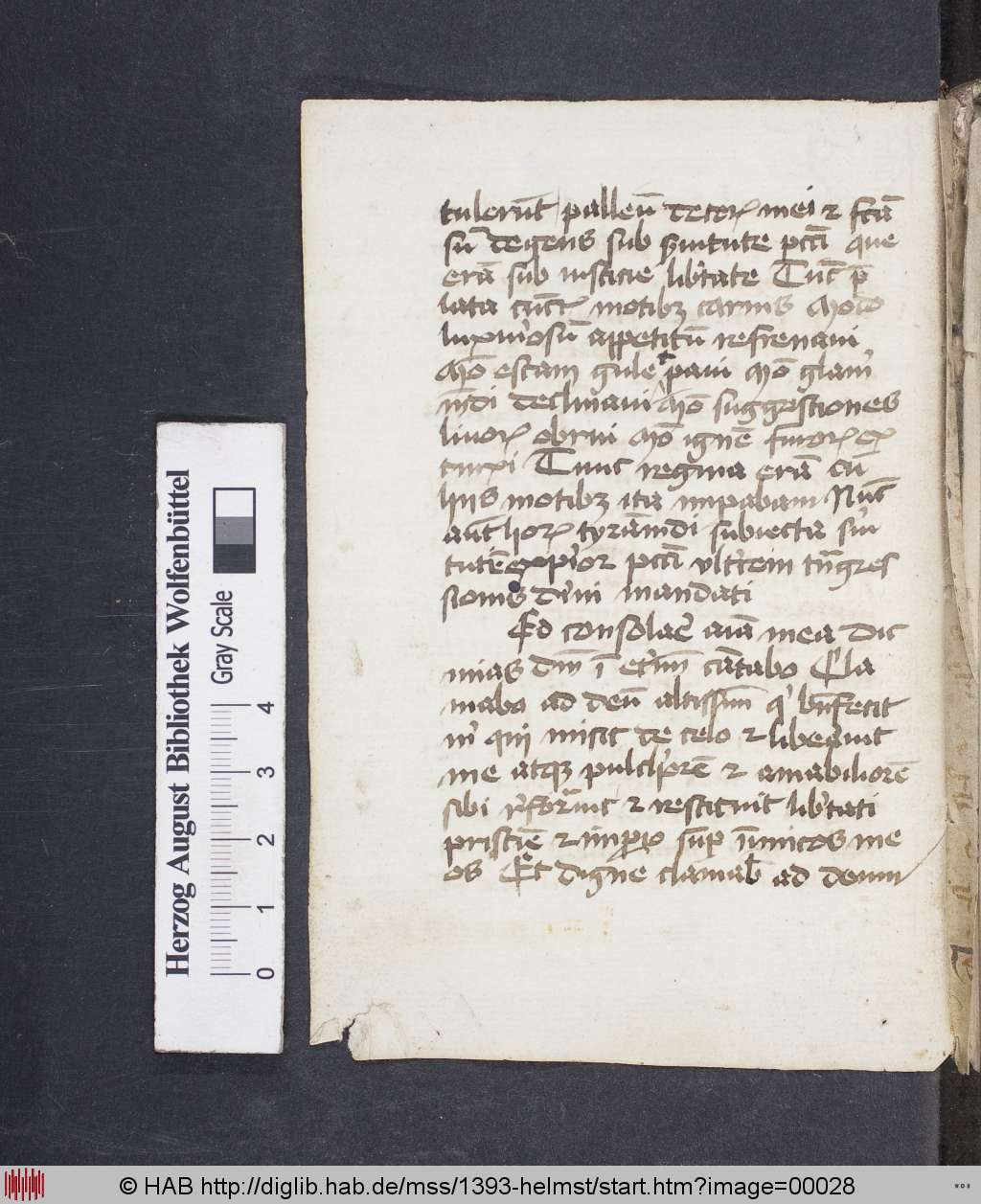 http://diglib.hab.de/mss/1393-helmst/00028.jpg