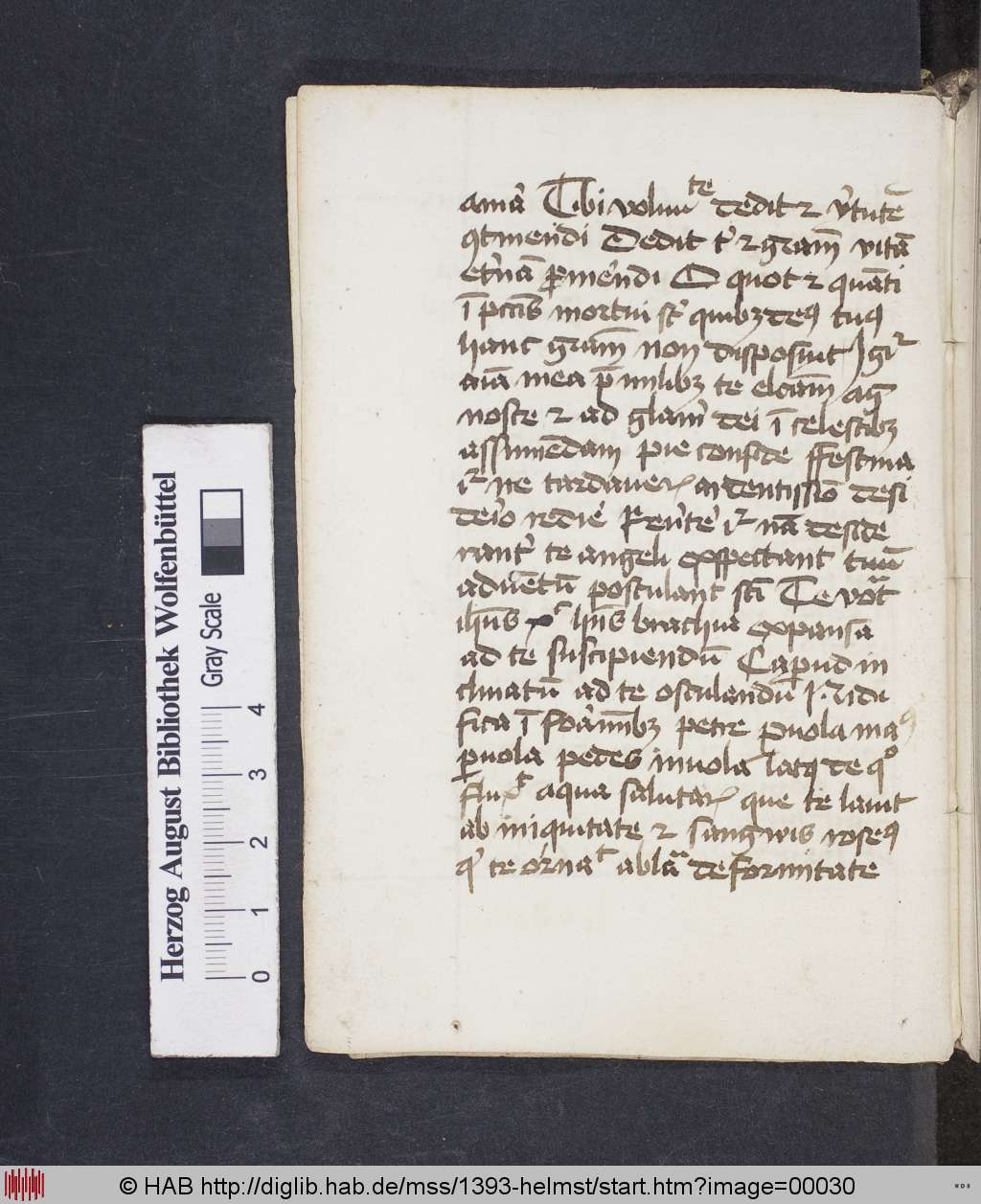 http://diglib.hab.de/mss/1393-helmst/00030.jpg