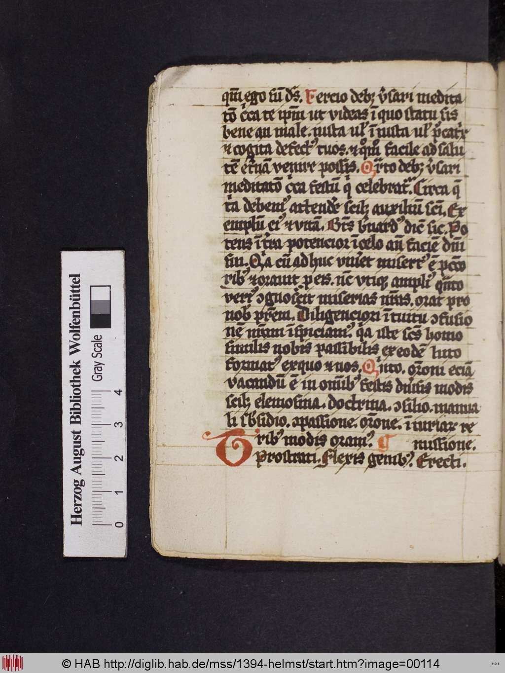 http://diglib.hab.de/mss/1394-helmst/00114.jpg