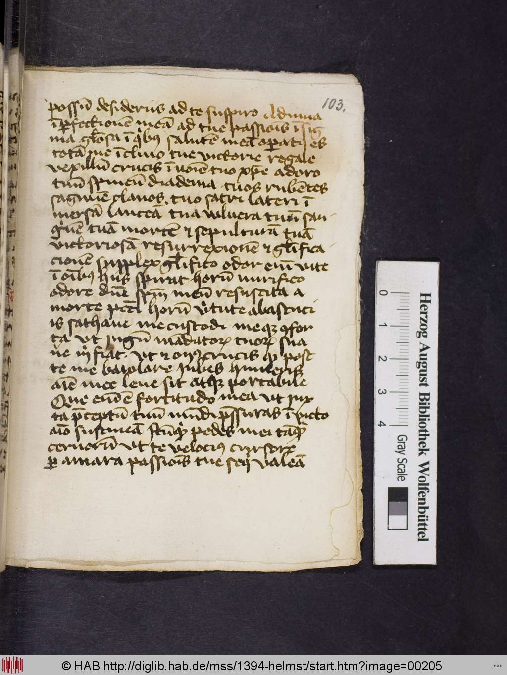 http://diglib.hab.de/mss/1394-helmst/00205.jpg