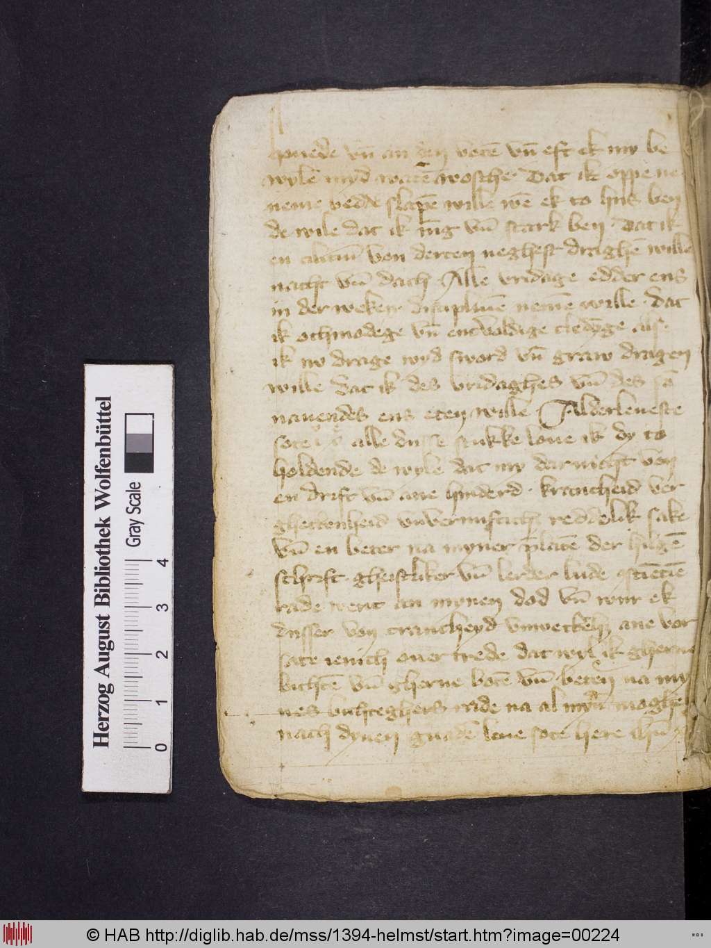 http://diglib.hab.de/mss/1394-helmst/00224.jpg