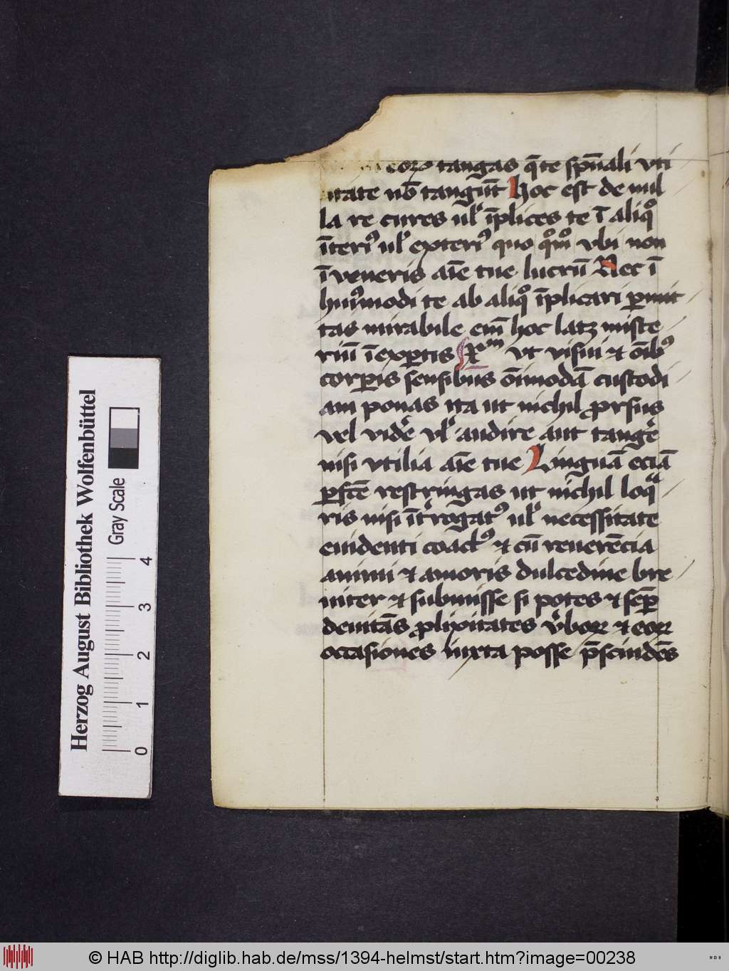 http://diglib.hab.de/mss/1394-helmst/00238.jpg