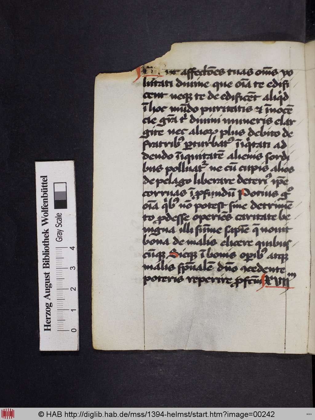 http://diglib.hab.de/mss/1394-helmst/00242.jpg