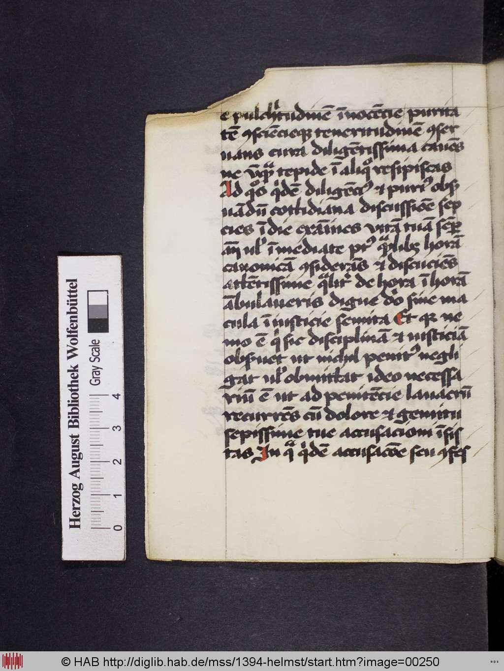 http://diglib.hab.de/mss/1394-helmst/00250.jpg