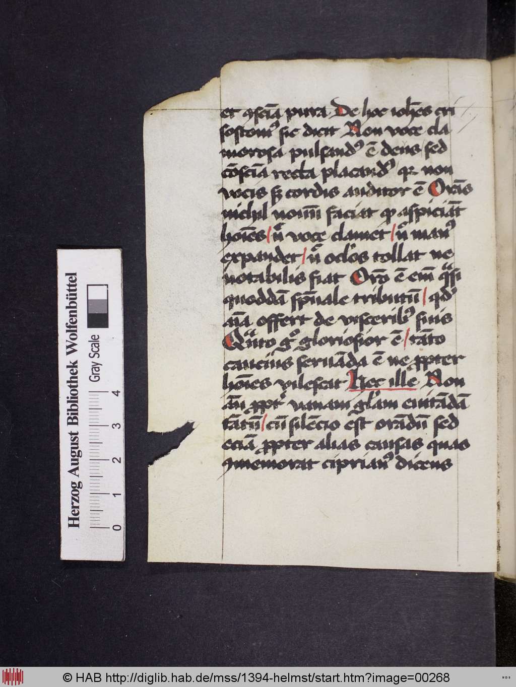 http://diglib.hab.de/mss/1394-helmst/00268.jpg