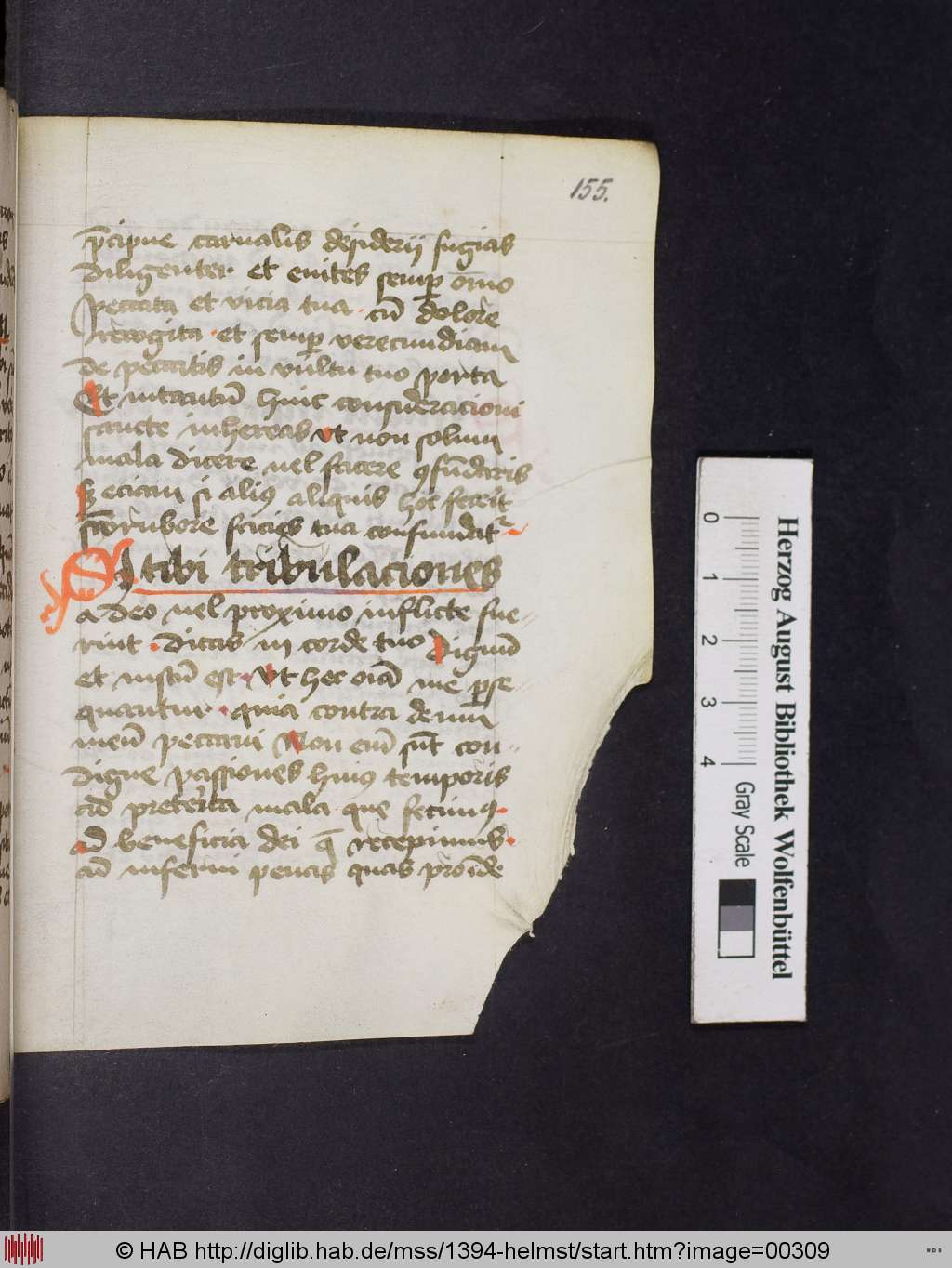 http://diglib.hab.de/mss/1394-helmst/00309.jpg