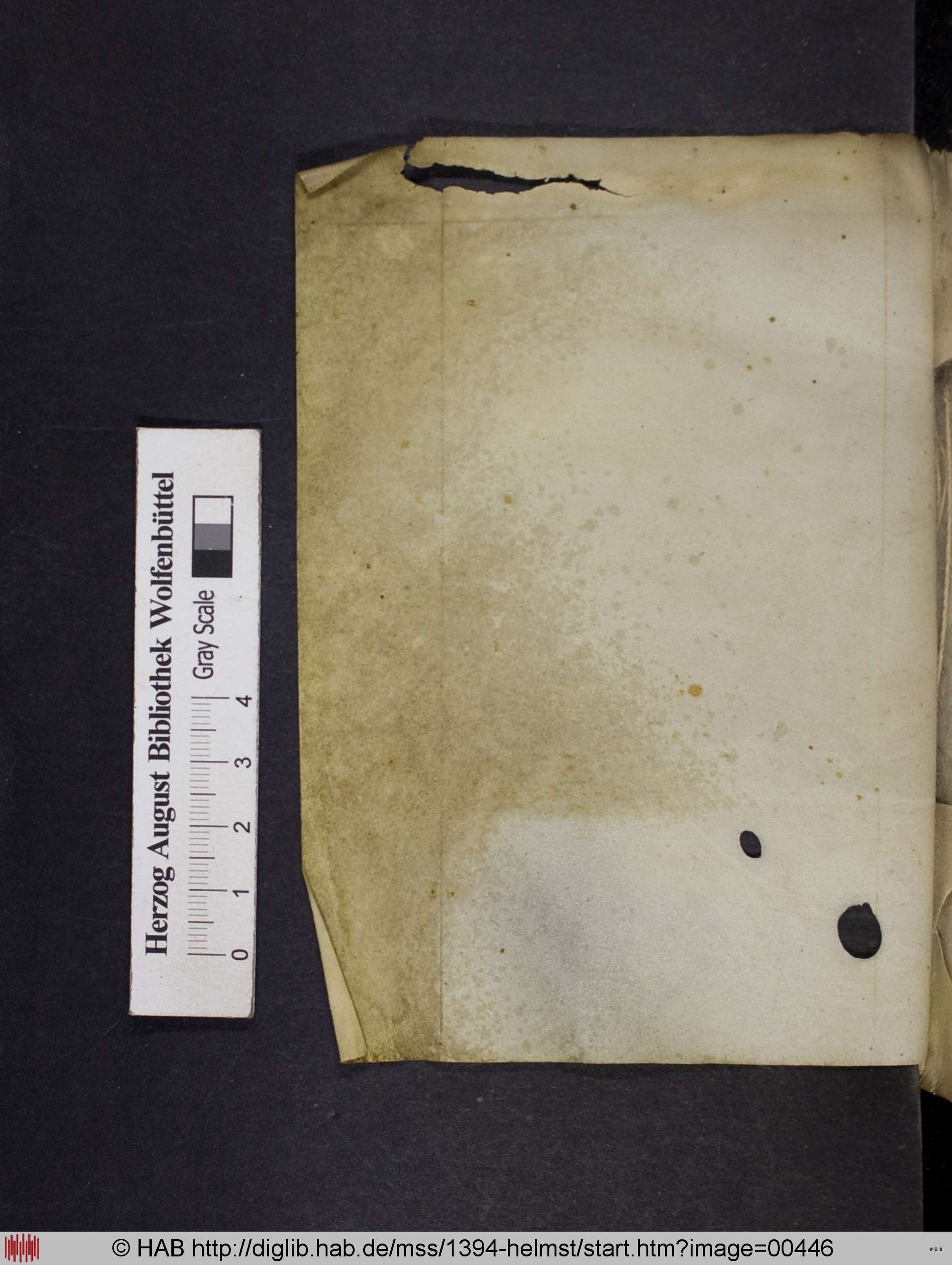 http://diglib.hab.de/mss/1394-helmst/max/00446.jpg