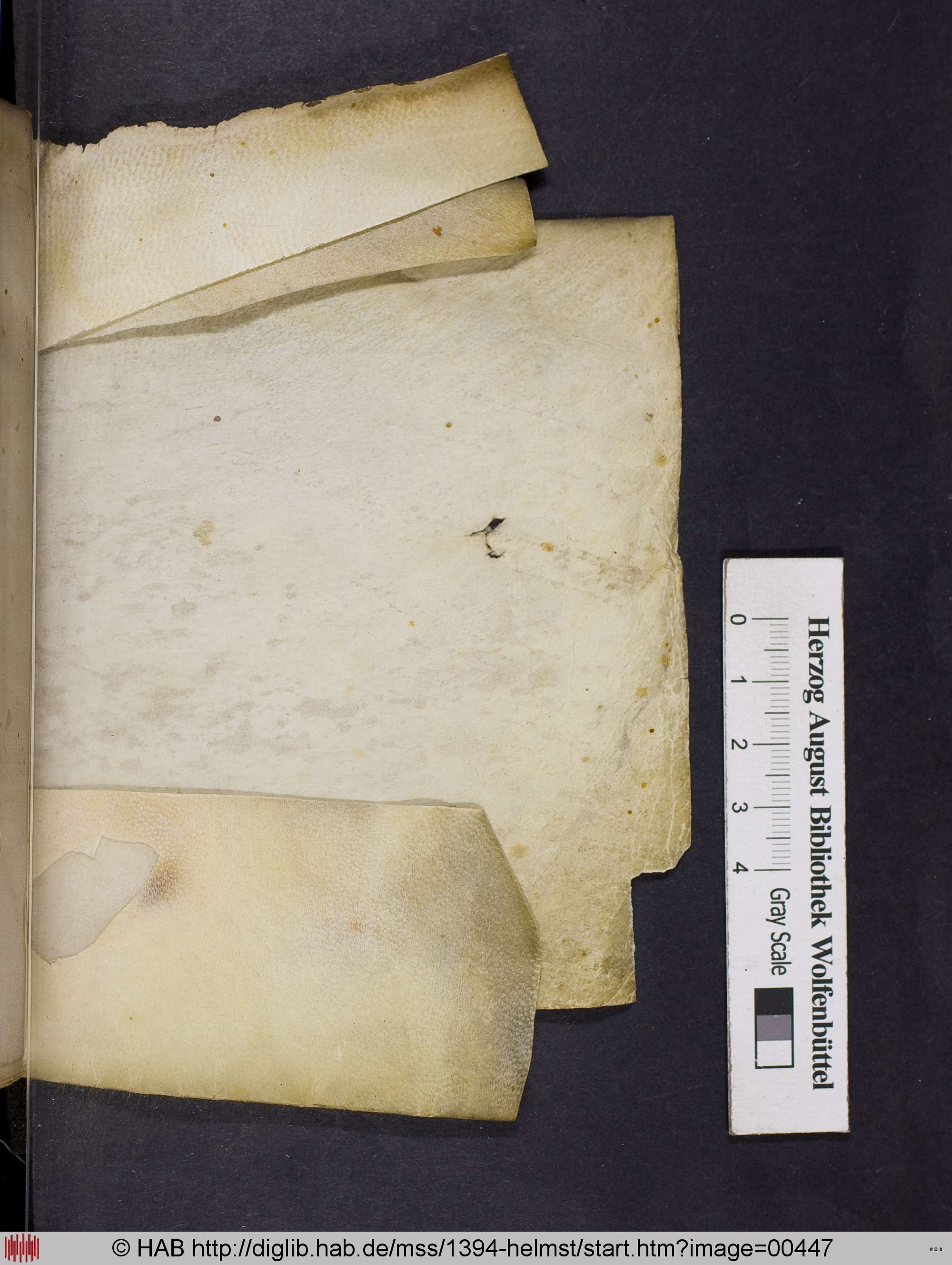 http://diglib.hab.de/mss/1394-helmst/max/00447.jpg