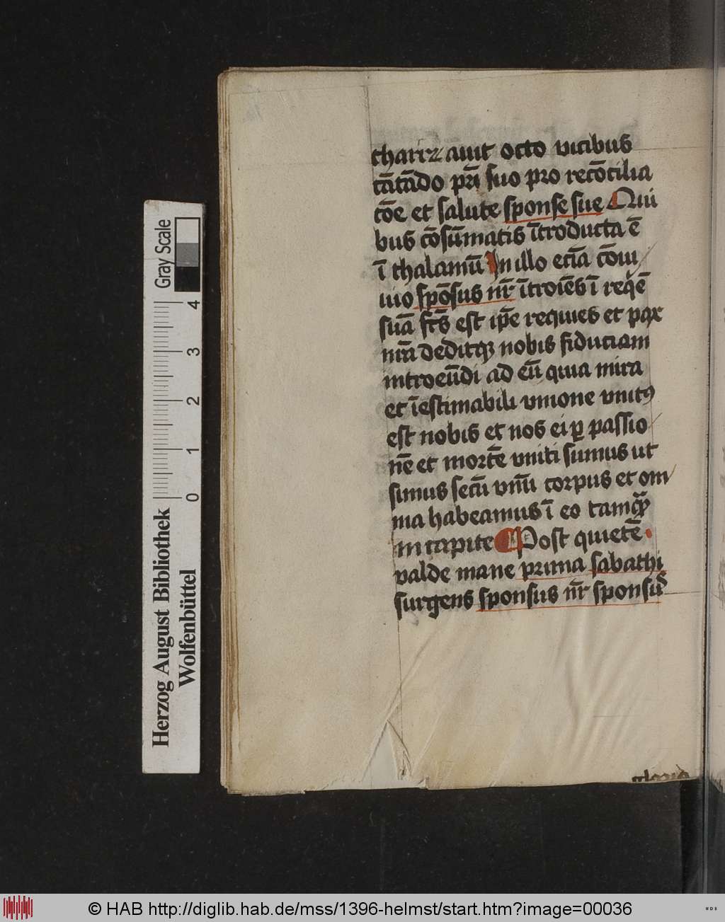 http://diglib.hab.de/mss/1396-helmst/00036.jpg