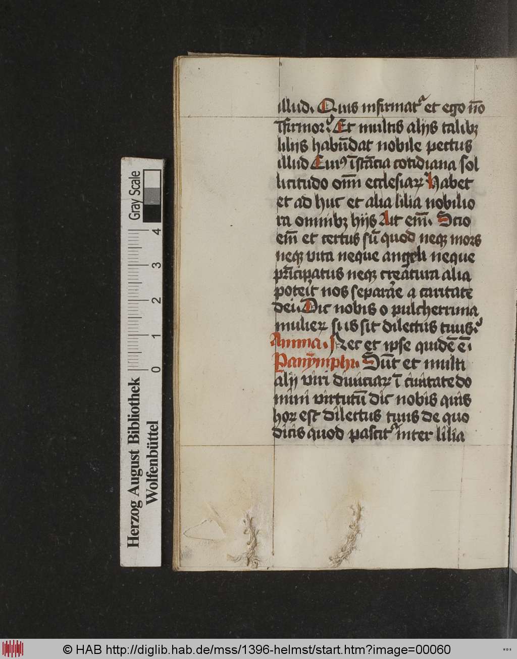 http://diglib.hab.de/mss/1396-helmst/00060.jpg