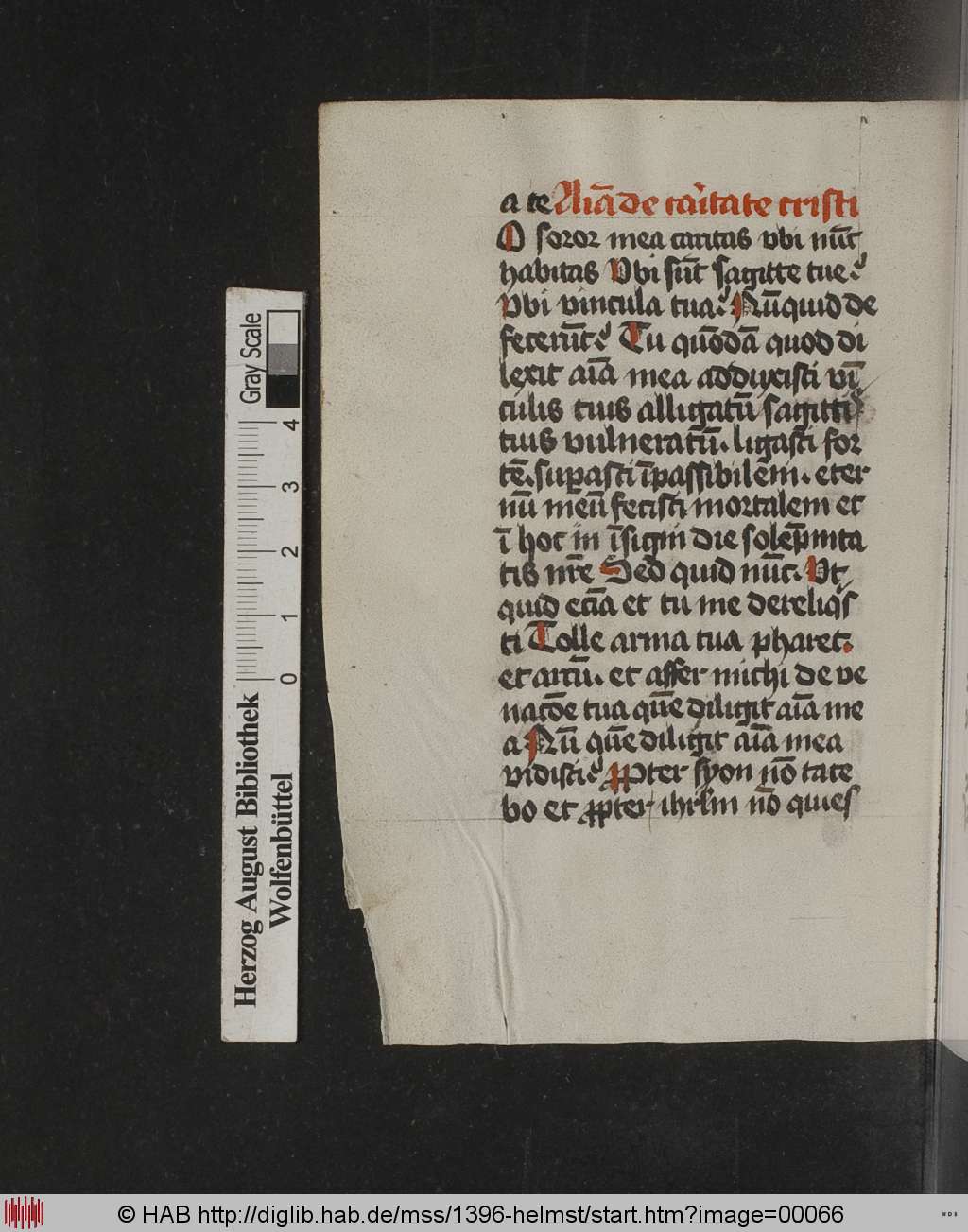 http://diglib.hab.de/mss/1396-helmst/00066.jpg