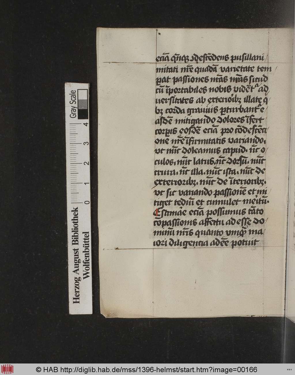 http://diglib.hab.de/mss/1396-helmst/00166.jpg