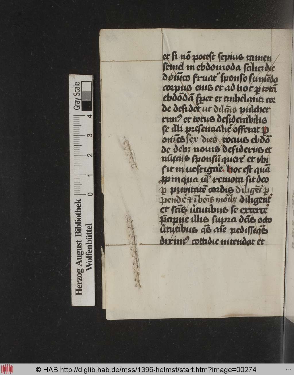 http://diglib.hab.de/mss/1396-helmst/00274.jpg