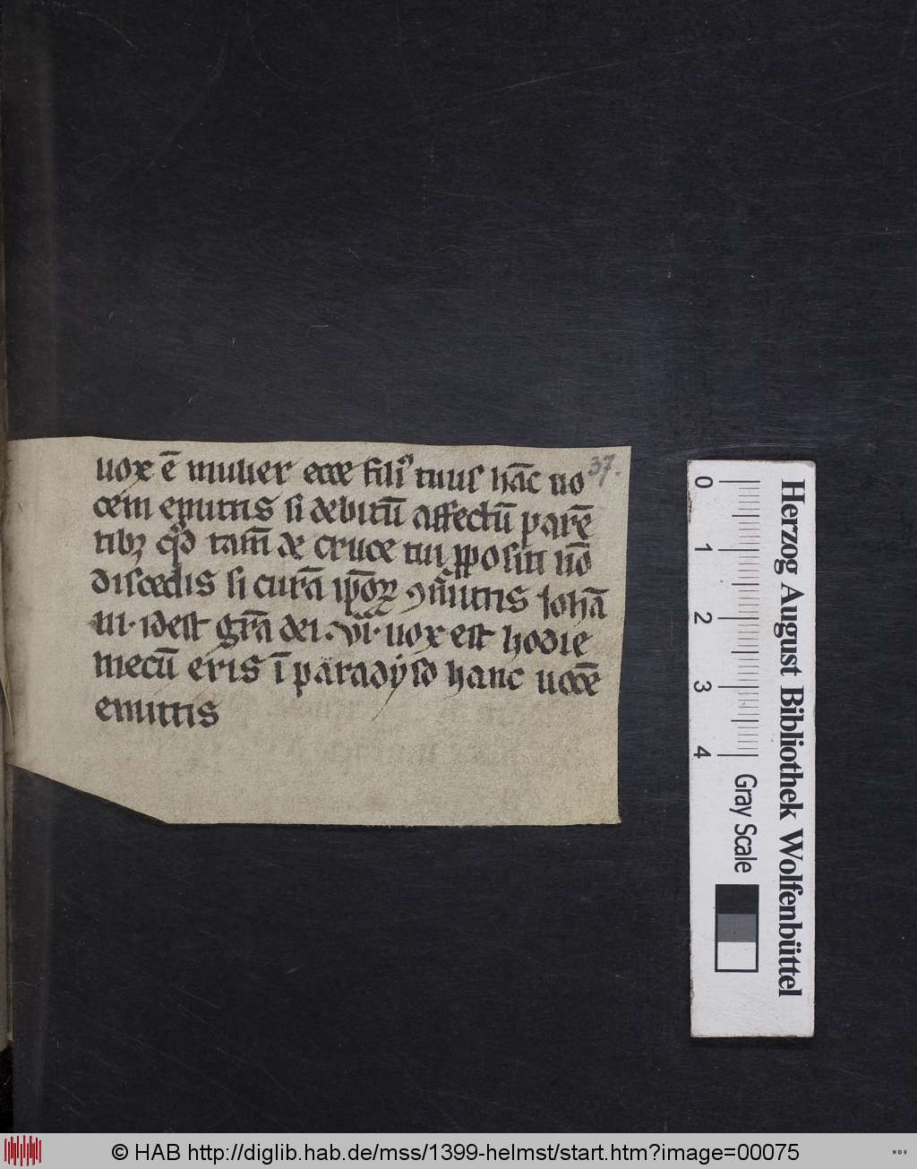 http://diglib.hab.de/mss/1399-helmst/00075.jpg
