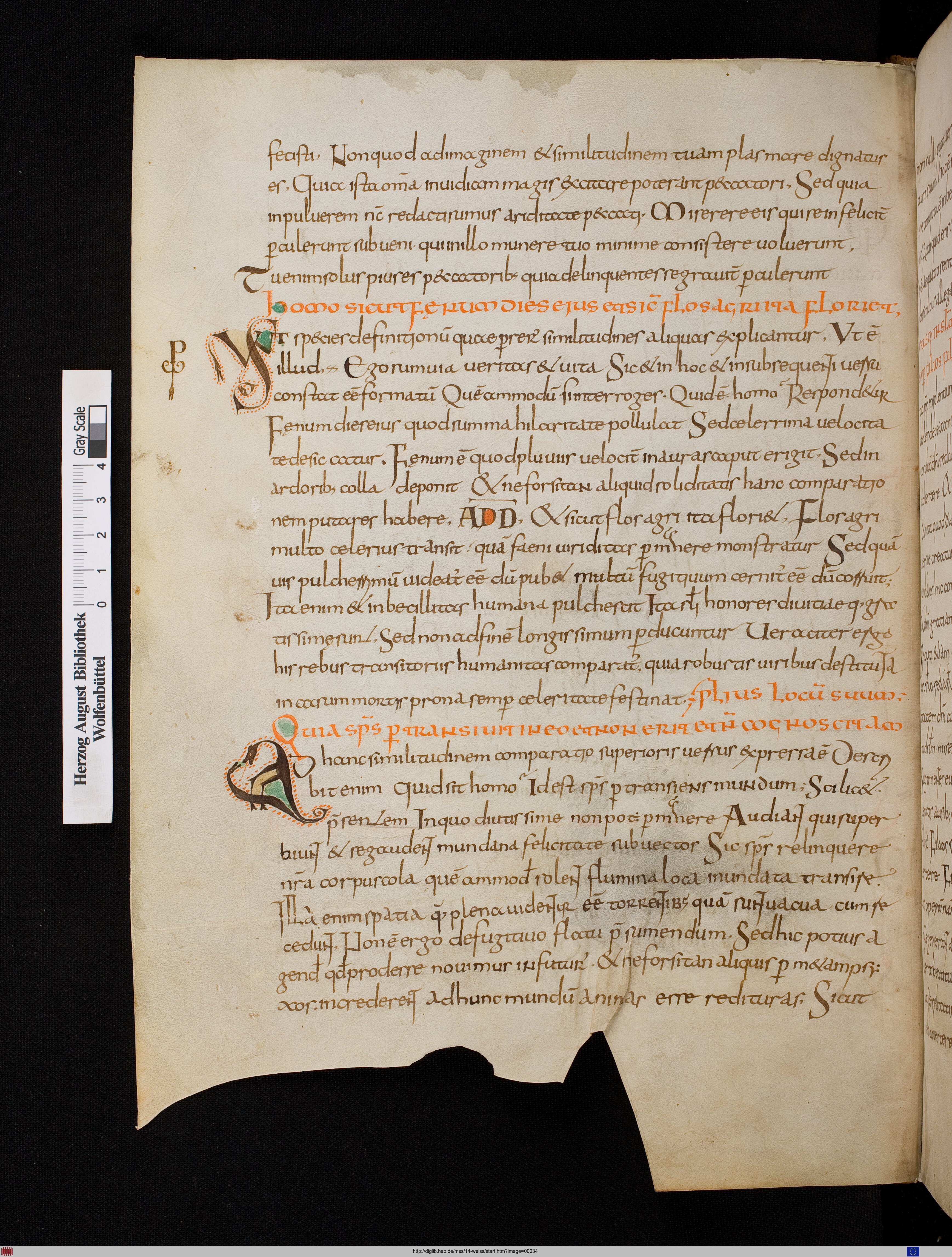 http://diglib.hab.de/mss/14-weiss/max/00034.jpg