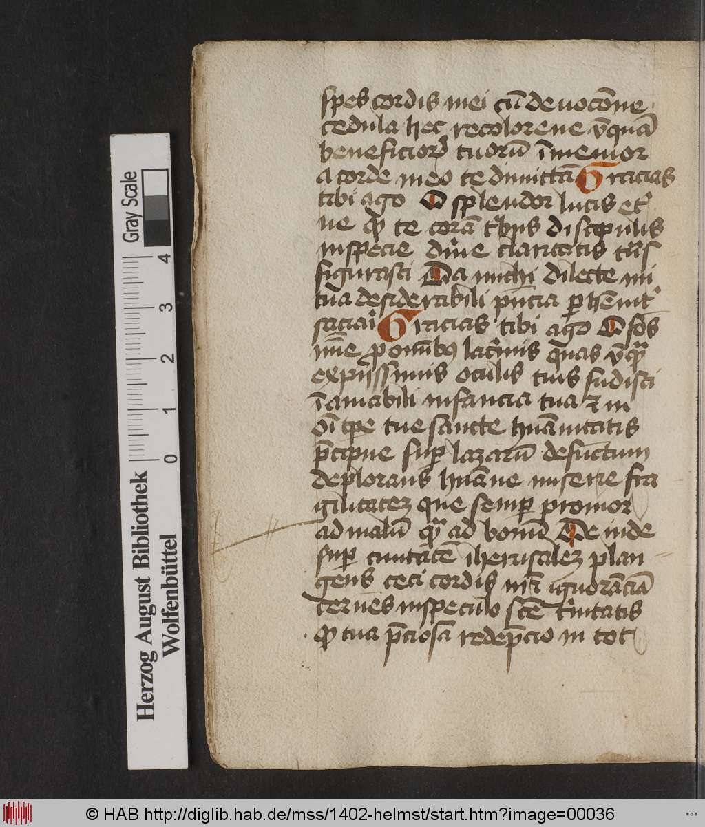 http://diglib.hab.de/mss/1402-helmst/00036.jpg