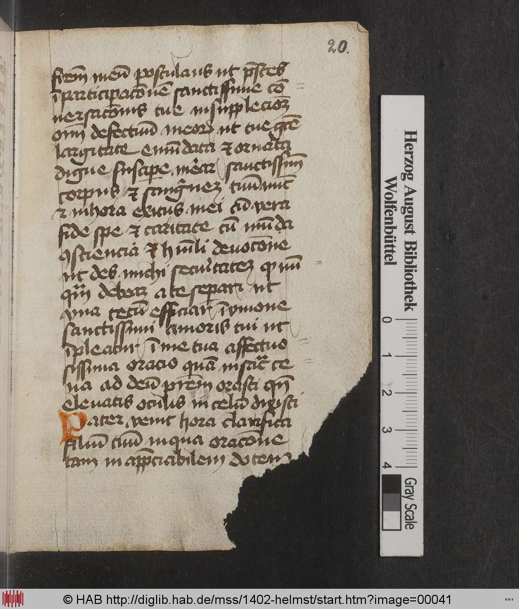 http://diglib.hab.de/mss/1402-helmst/00041.jpg